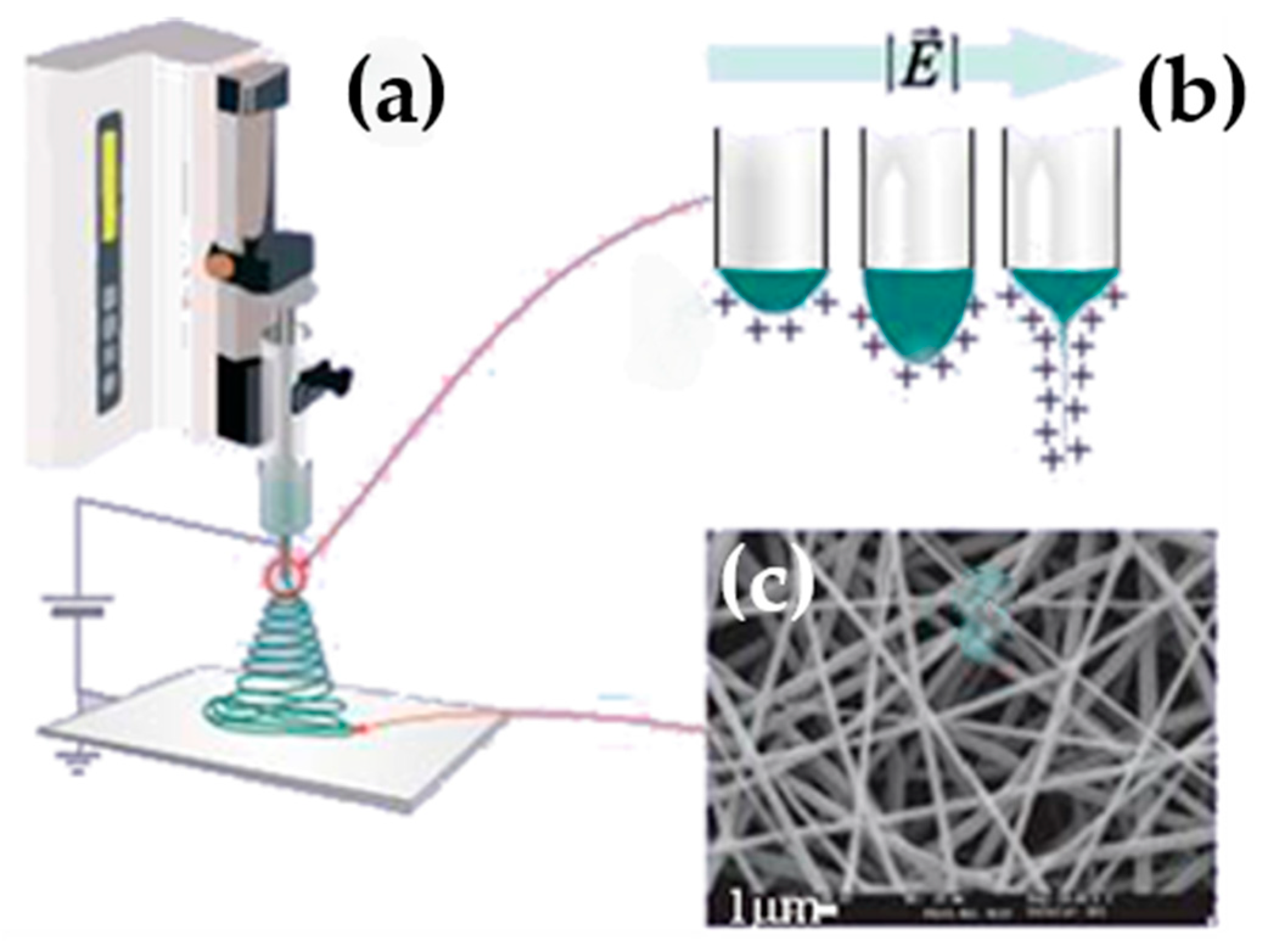 Nanomaterials 15 00409 g001