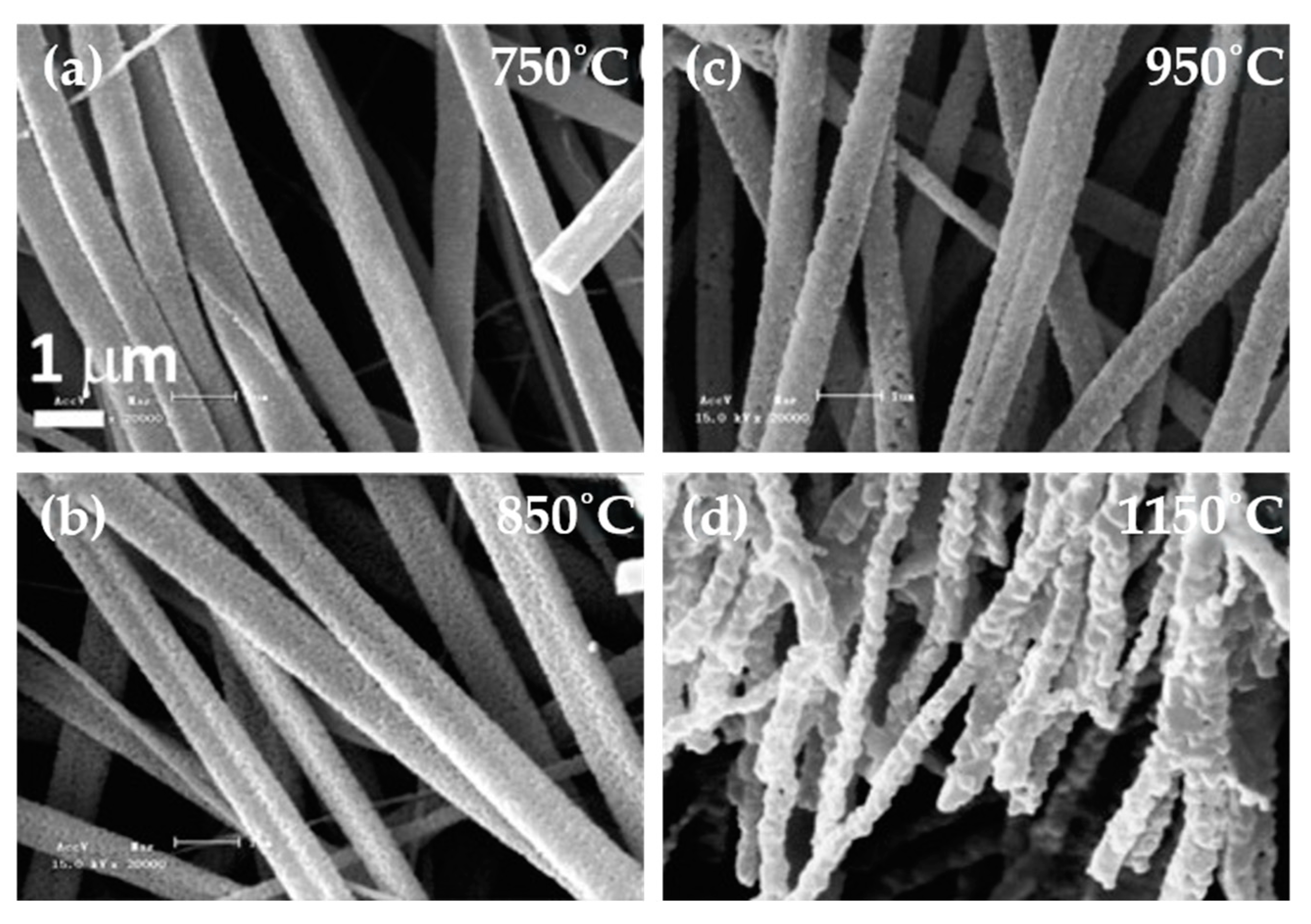 Nanomaterials 15 00409 g003