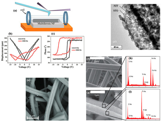 Nanomaterials 15 00409 g006