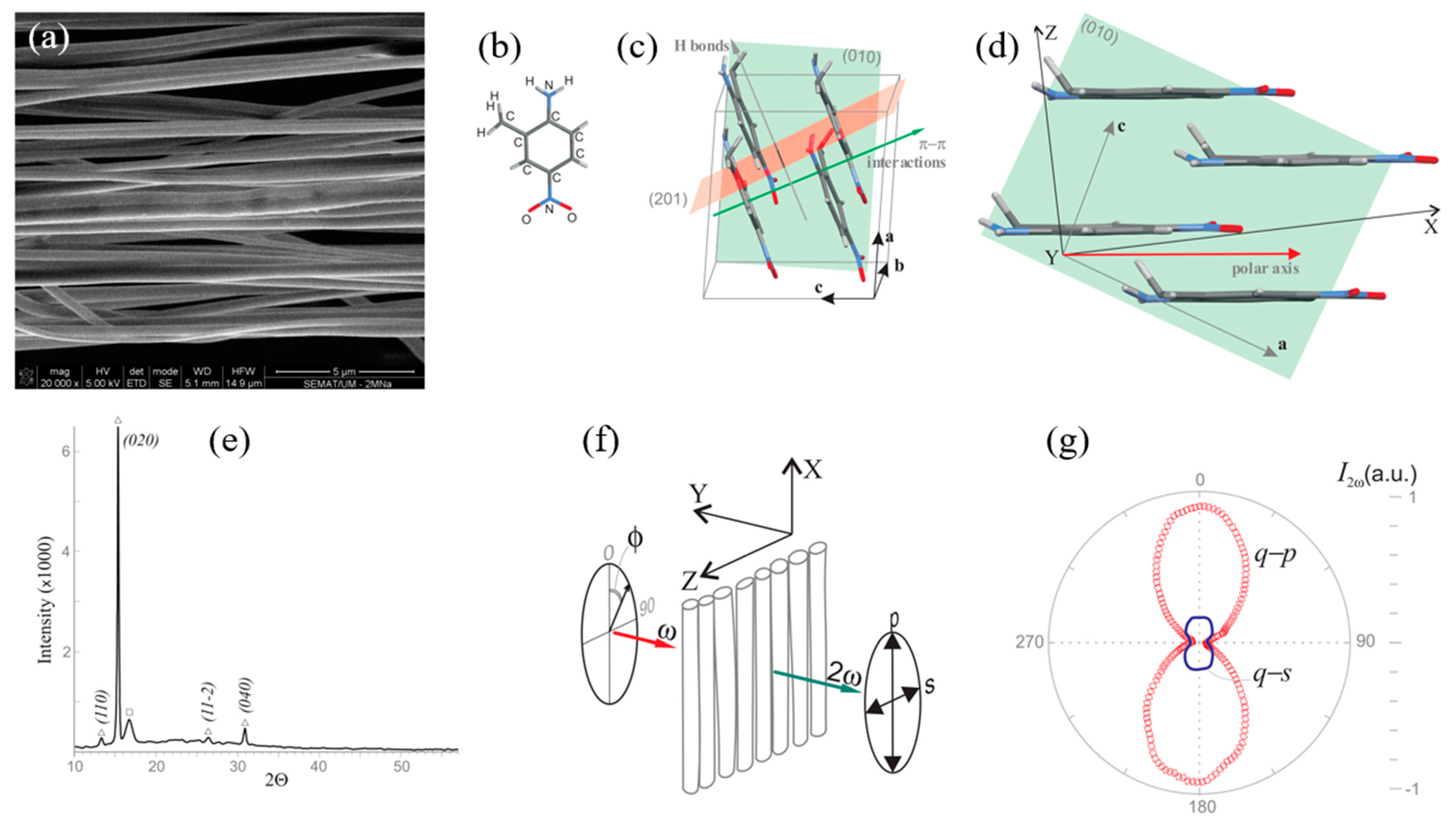 Nanomaterials 15 00409 g010