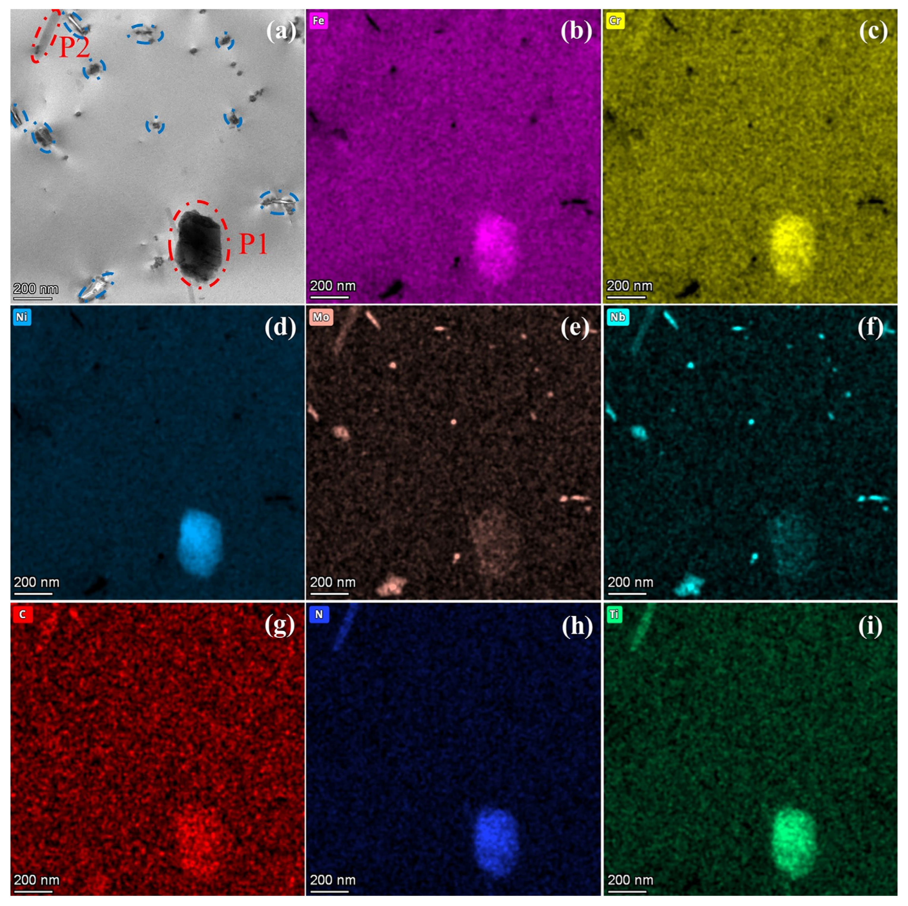 Nanomaterials 15 00413 g004
