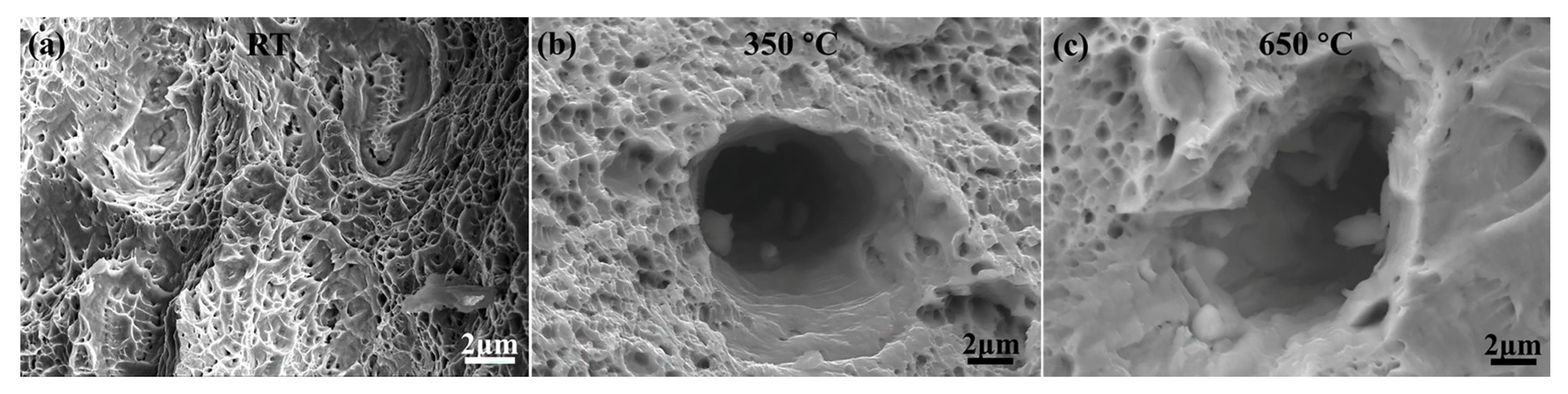 Nanomaterials 15 00413 g010