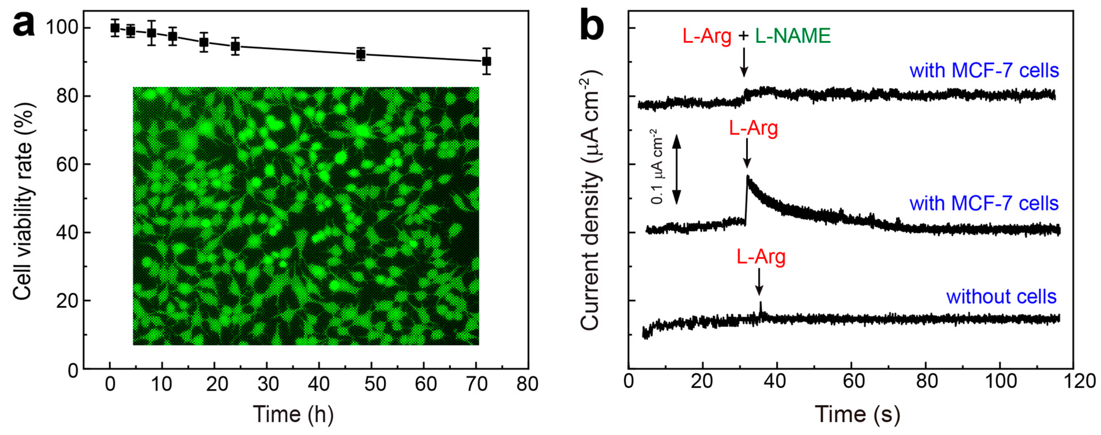 Nanomaterials 15 00417 g005 Nanomaterials 15 00417 g005