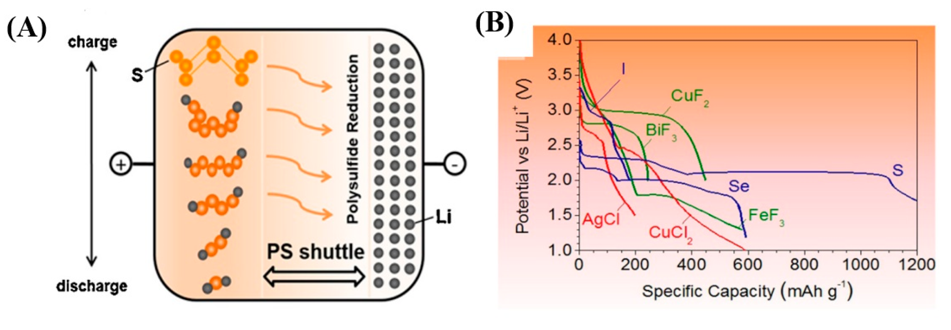 Nanomaterials 15 00420 g008 Nanomaterials 15 00420 g008