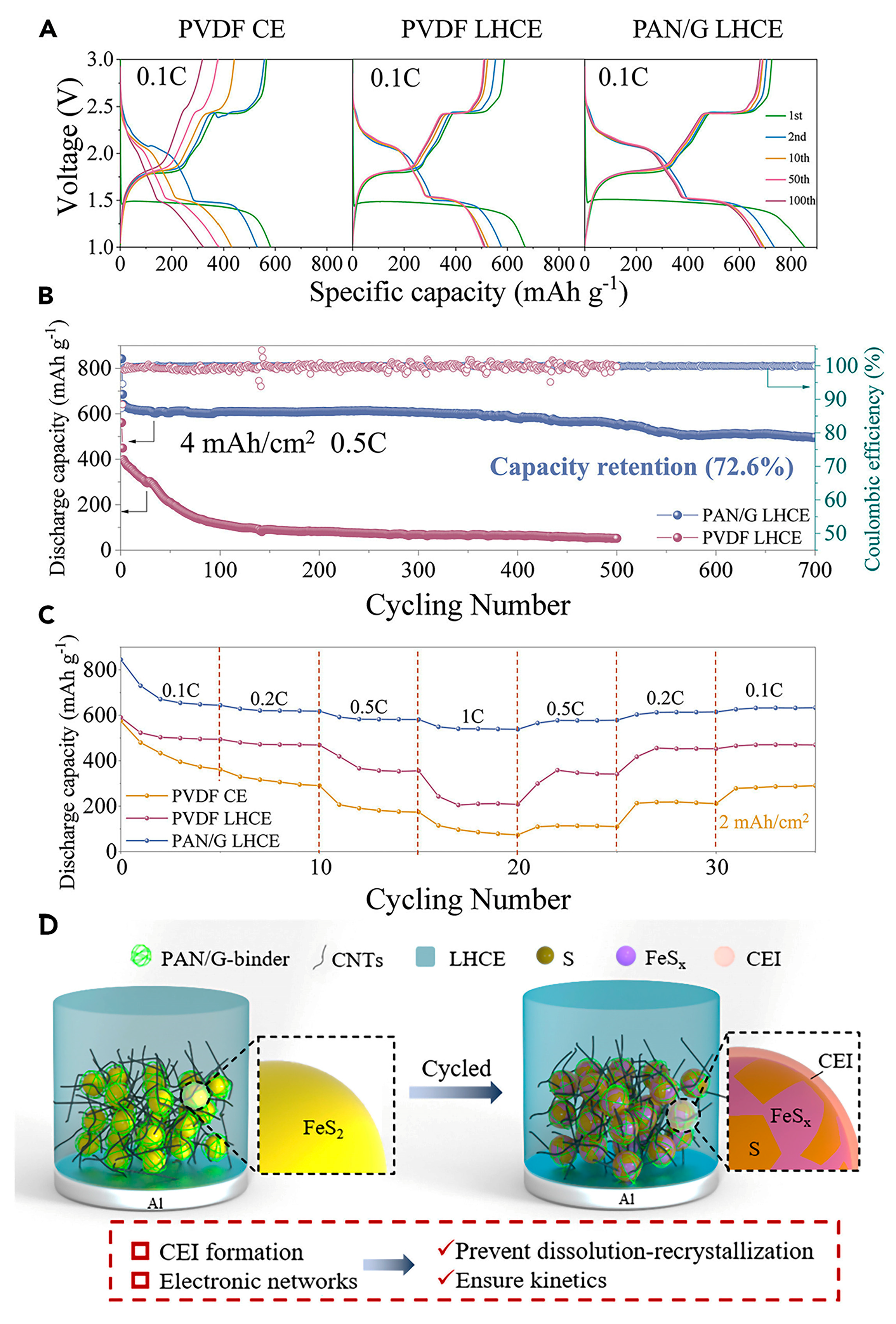 Nanomaterials 15 00420 g013 Nanomaterials 15 00420 g013