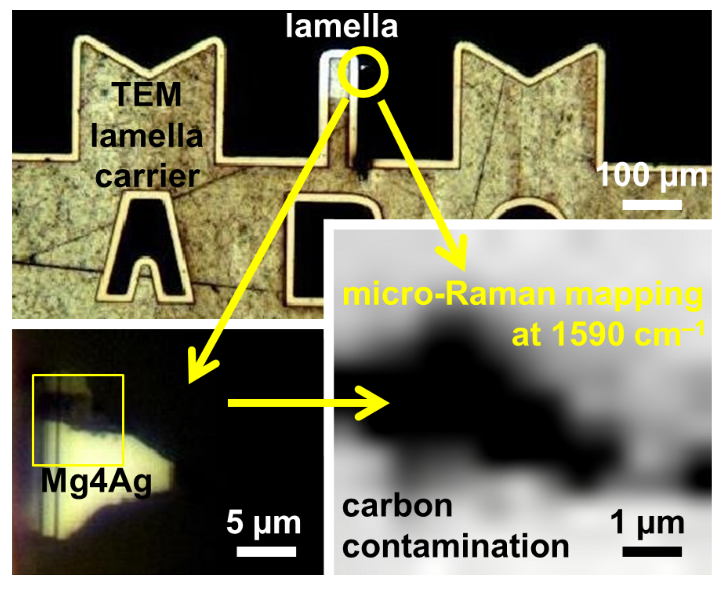 Nanomaterials 15 00430 g002