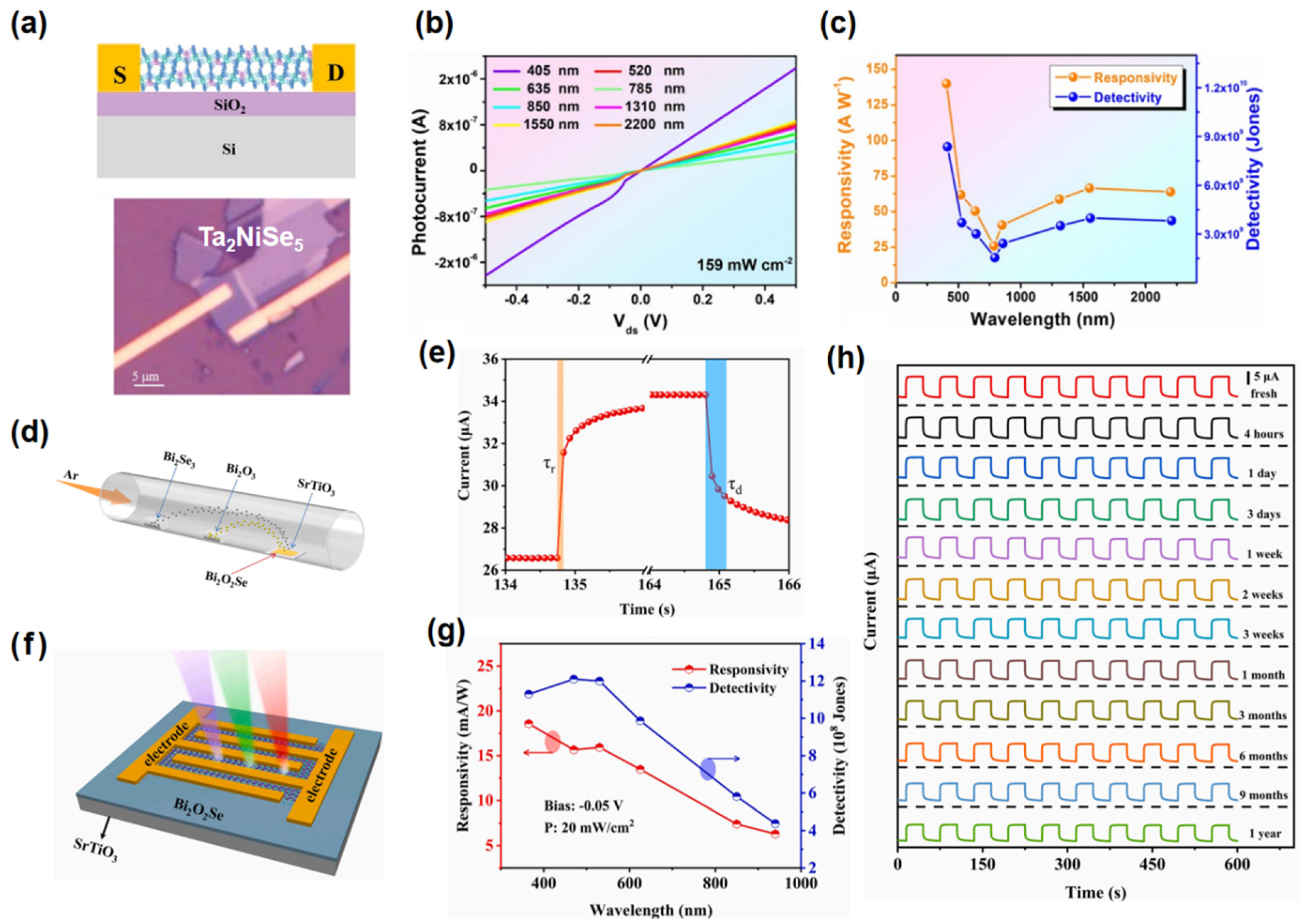 Nanomaterials 15 00431 g001 Nanomaterials 15 00431 g001