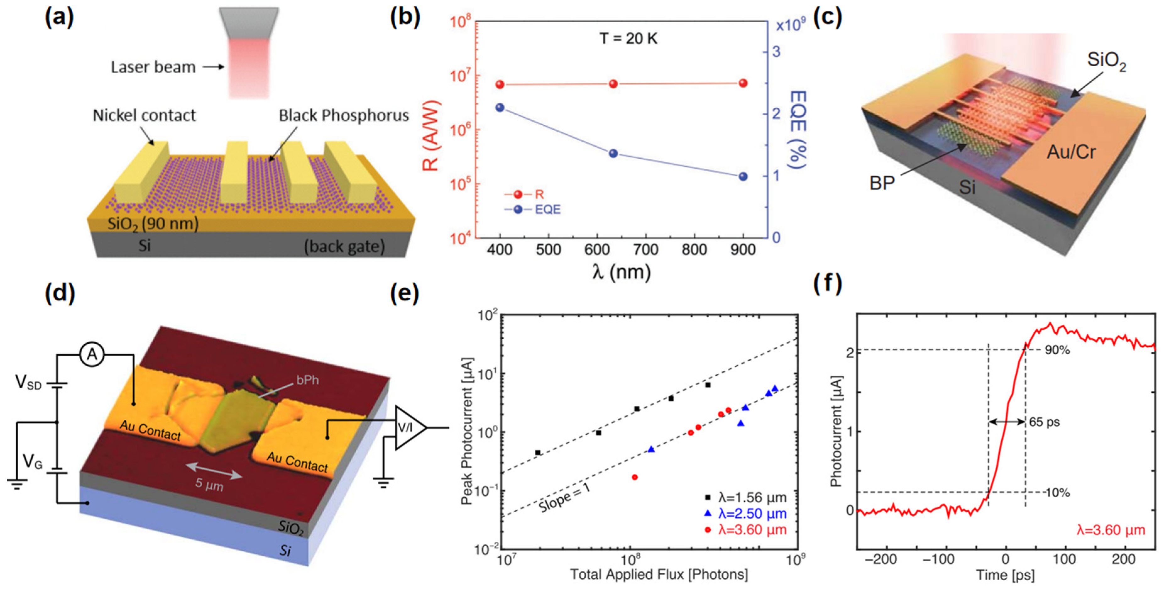 Nanomaterials 15 00431 g005 Nanomaterials 15 00431 g005