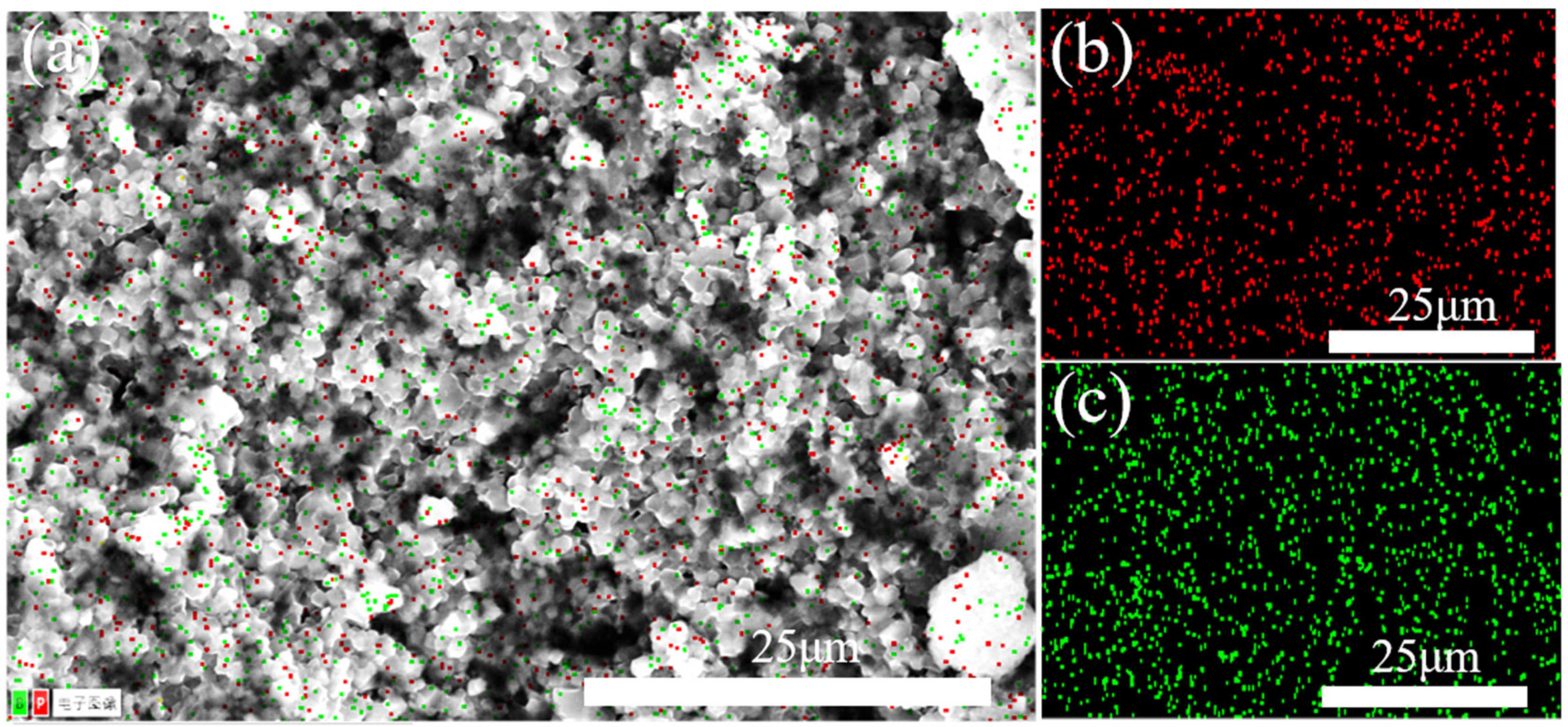 Nanomaterials 15 00446 g011 Nanomaterials 15 00446 g011