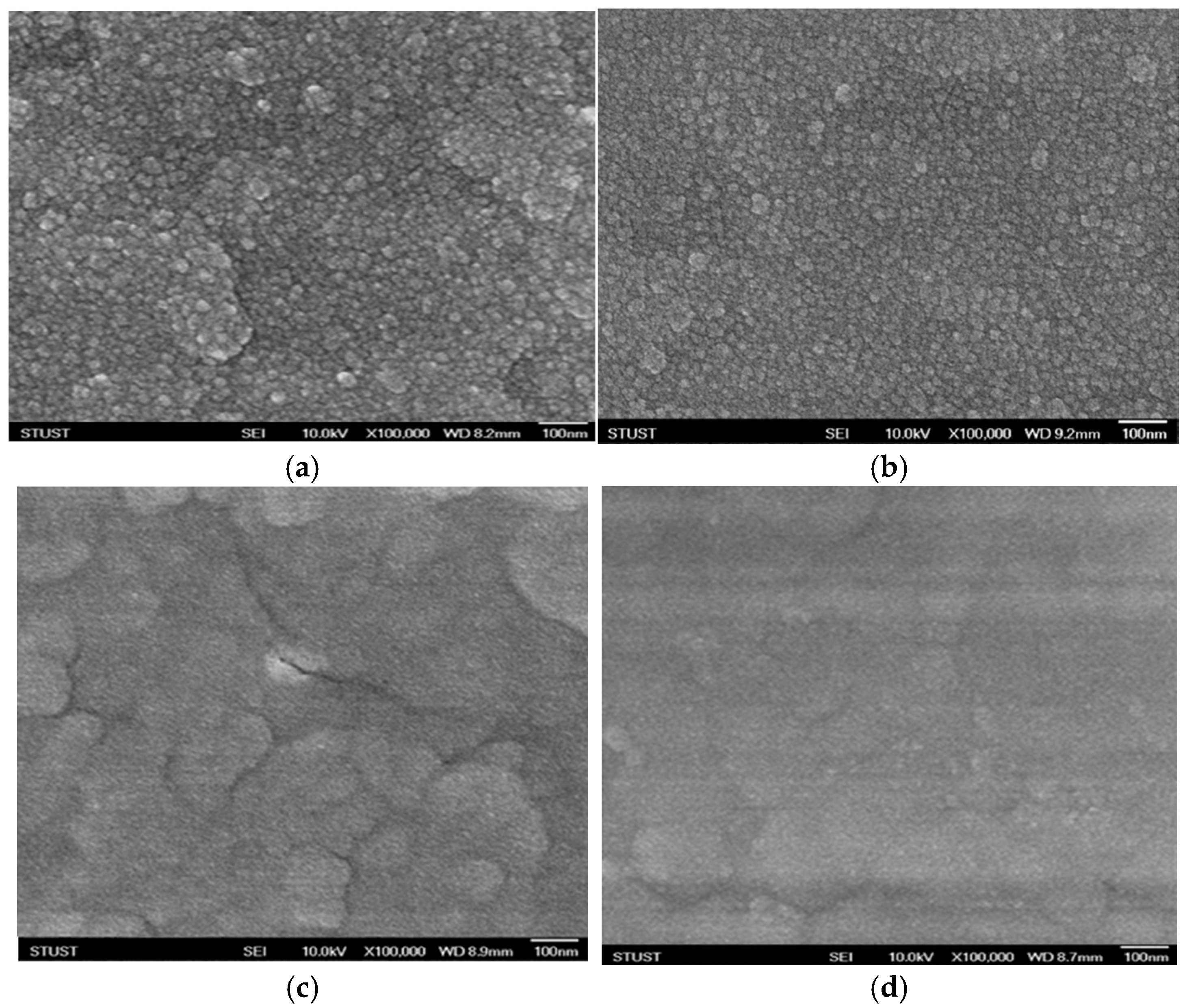 Nanomaterials 15 00448 g002