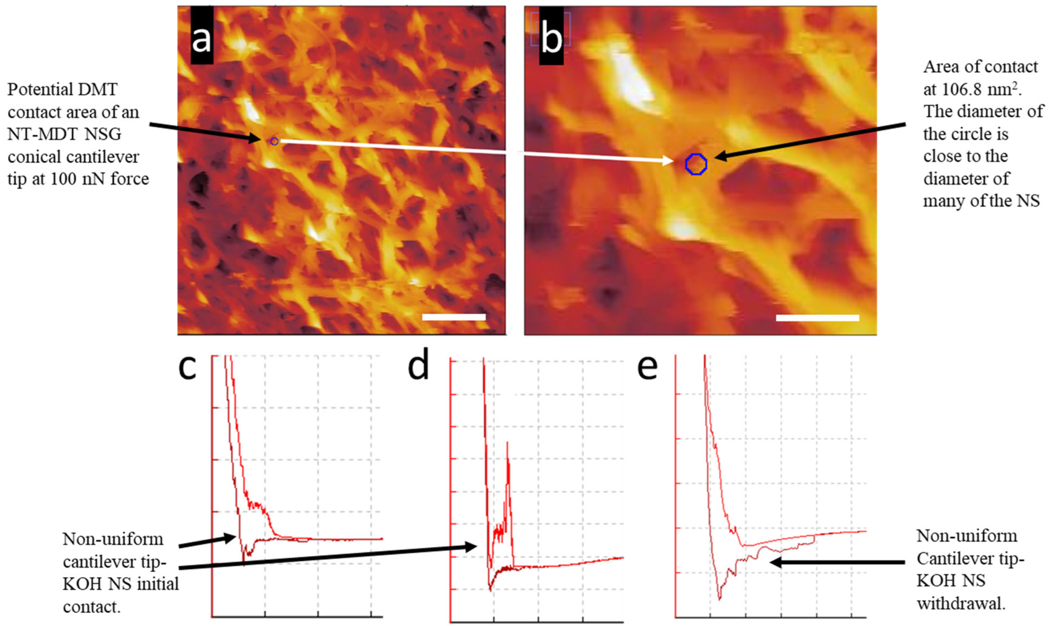 Nanomaterials 15 00462 g007