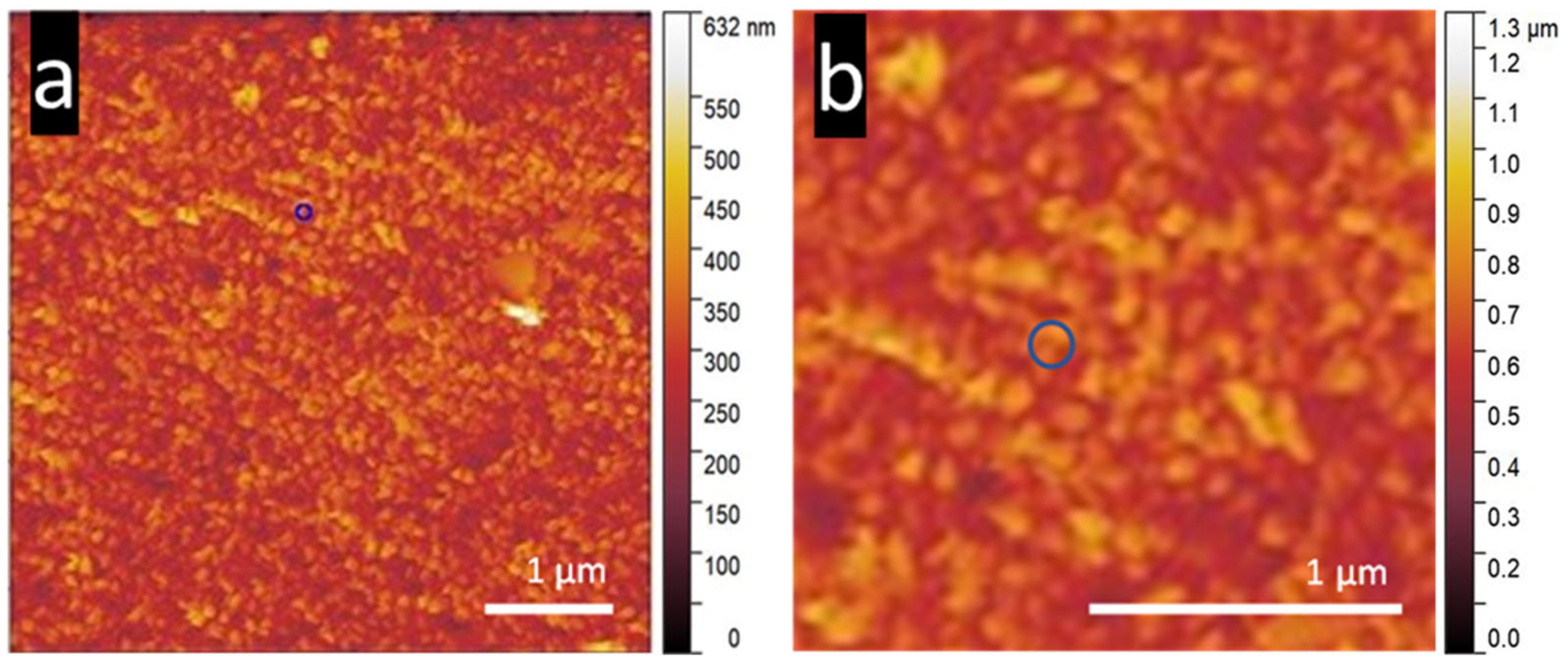 Nanomaterials 15 00462 g008