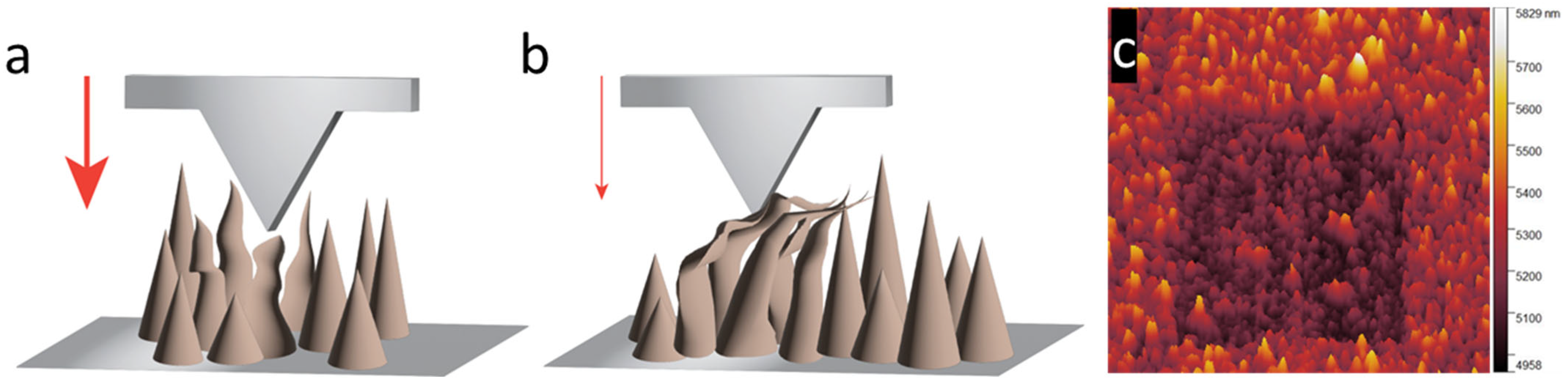 Nanomaterials 15 00462 g010
