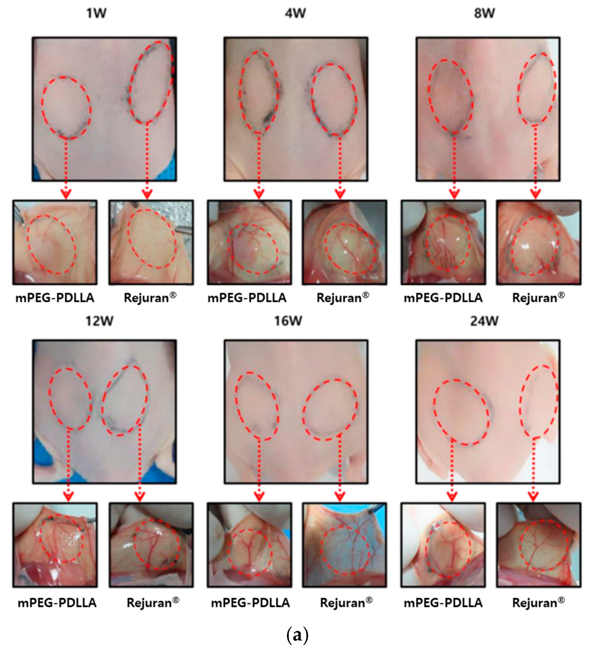 Nanomaterials 15 00470 g005a