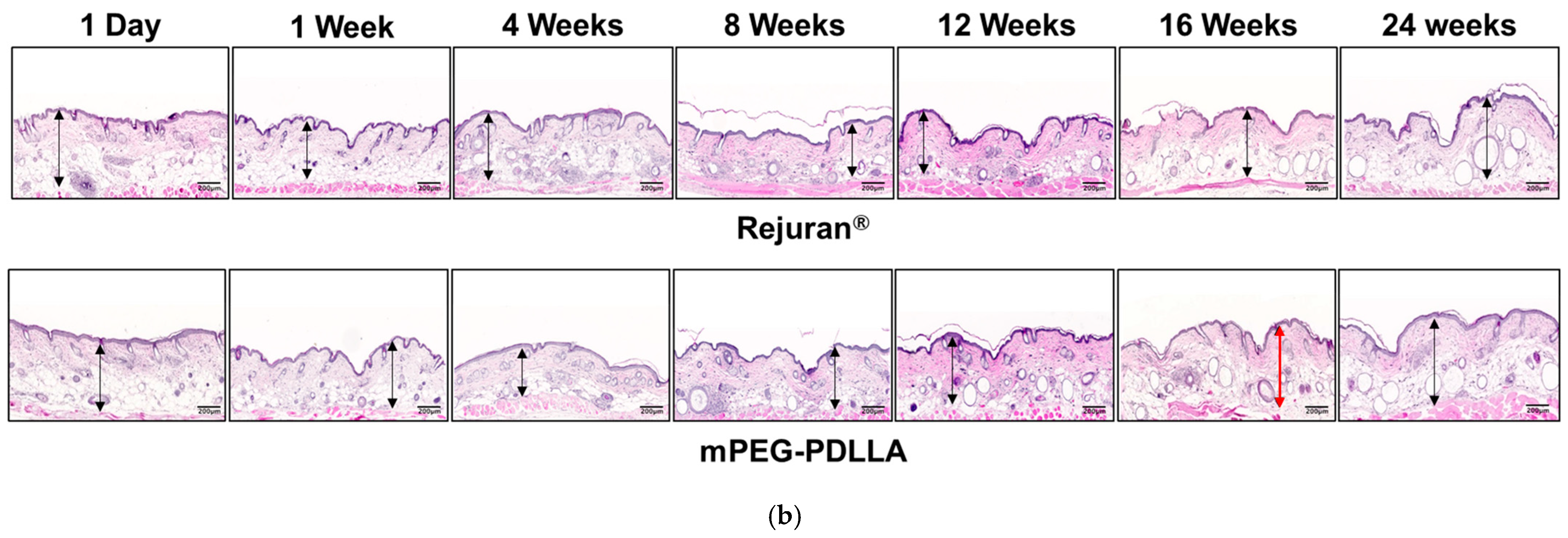 Nanomaterials 15 00470 g007b
