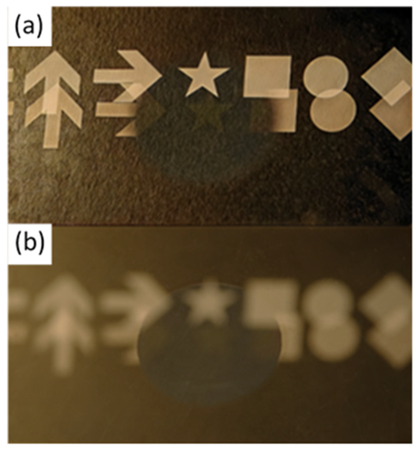 Nanomaterials 15 00490 g001