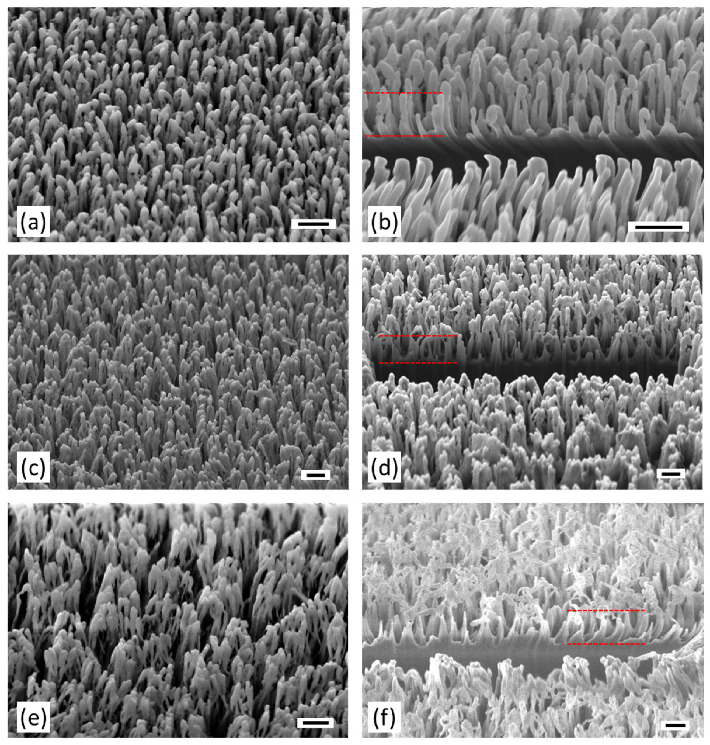 Nanomaterials 15 00490 g002