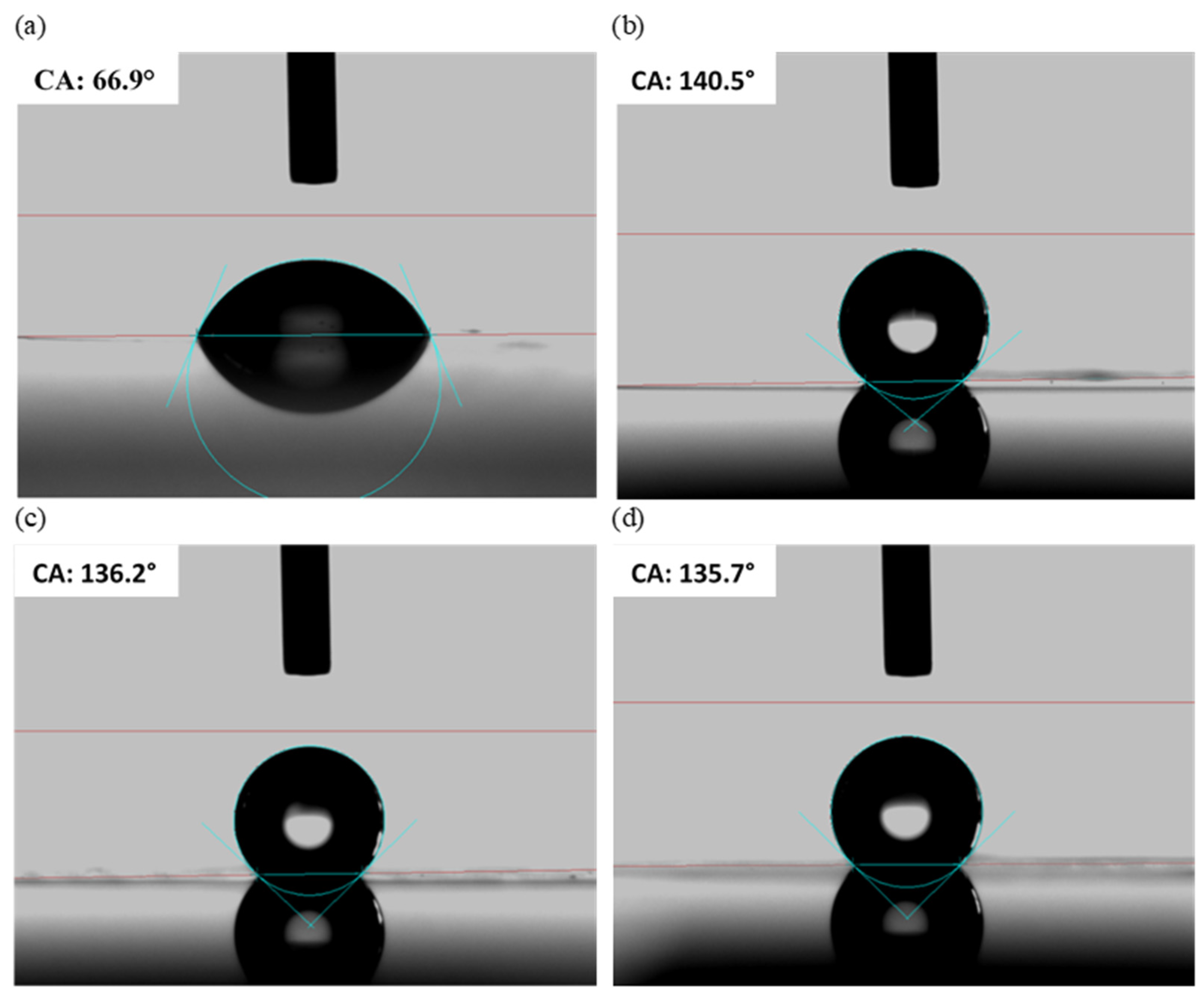 Nanomaterials 15 00490 g006