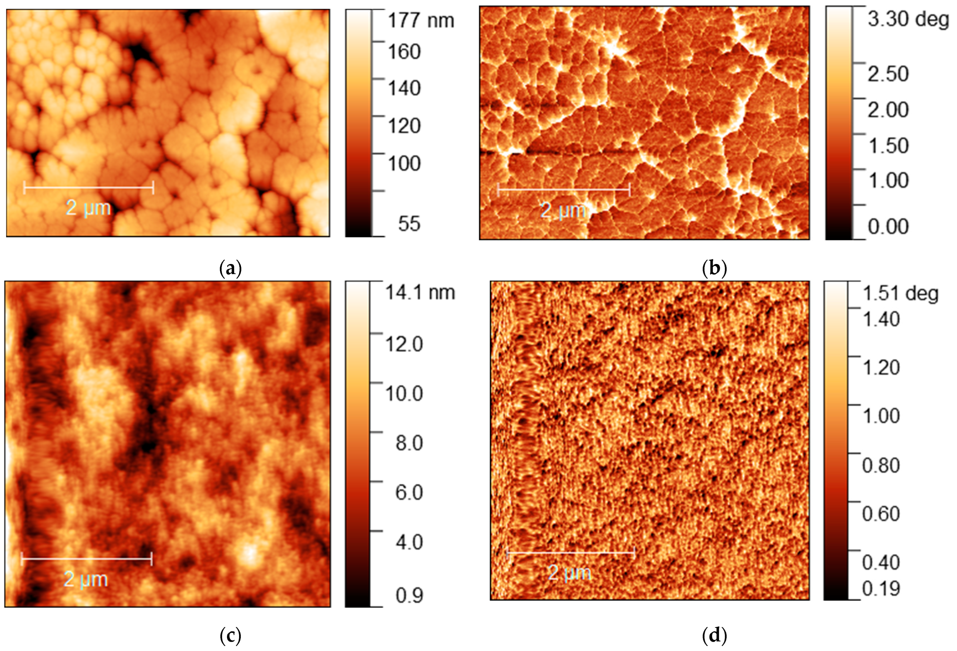 Nanomaterials 15 00494 g009