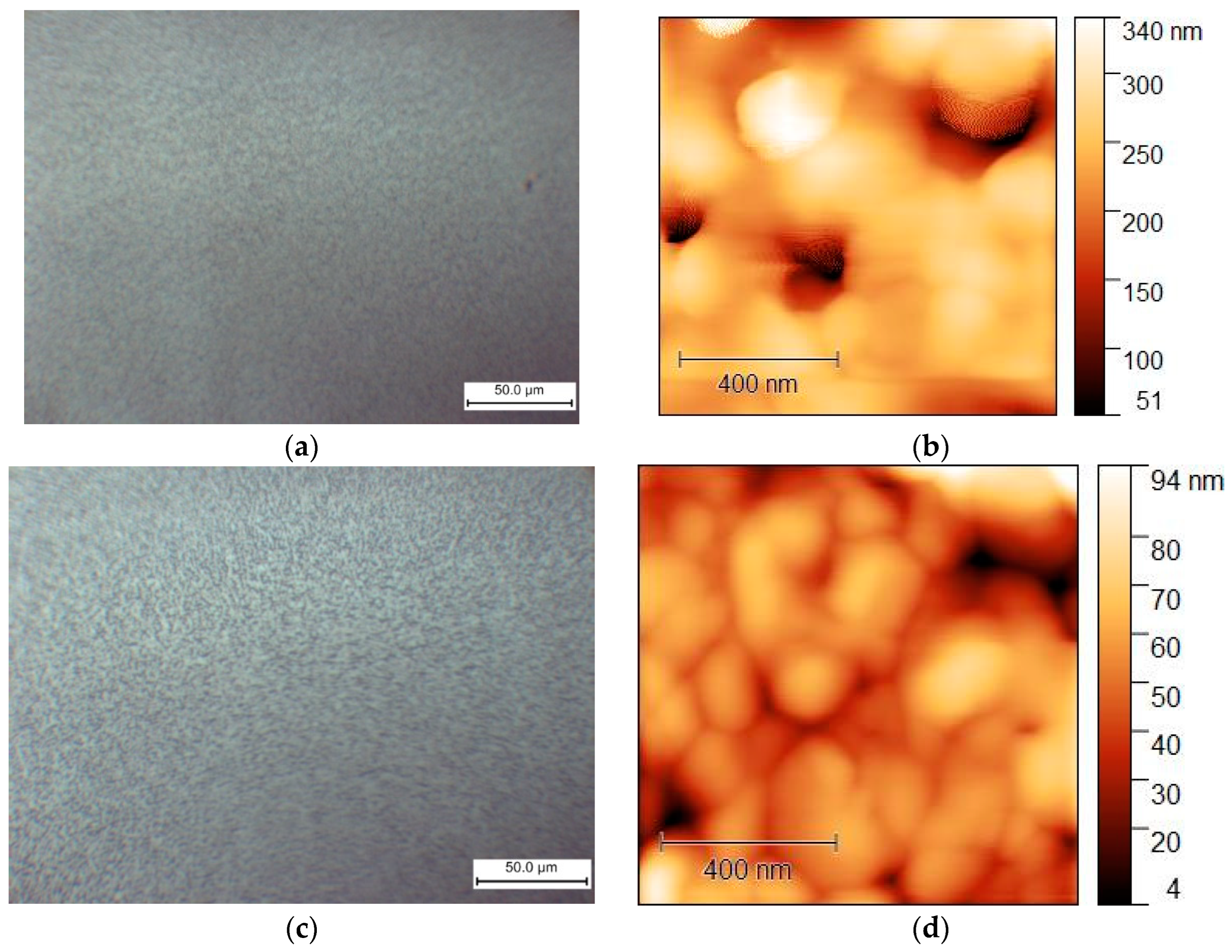 Nanomaterials 15 00494 g010