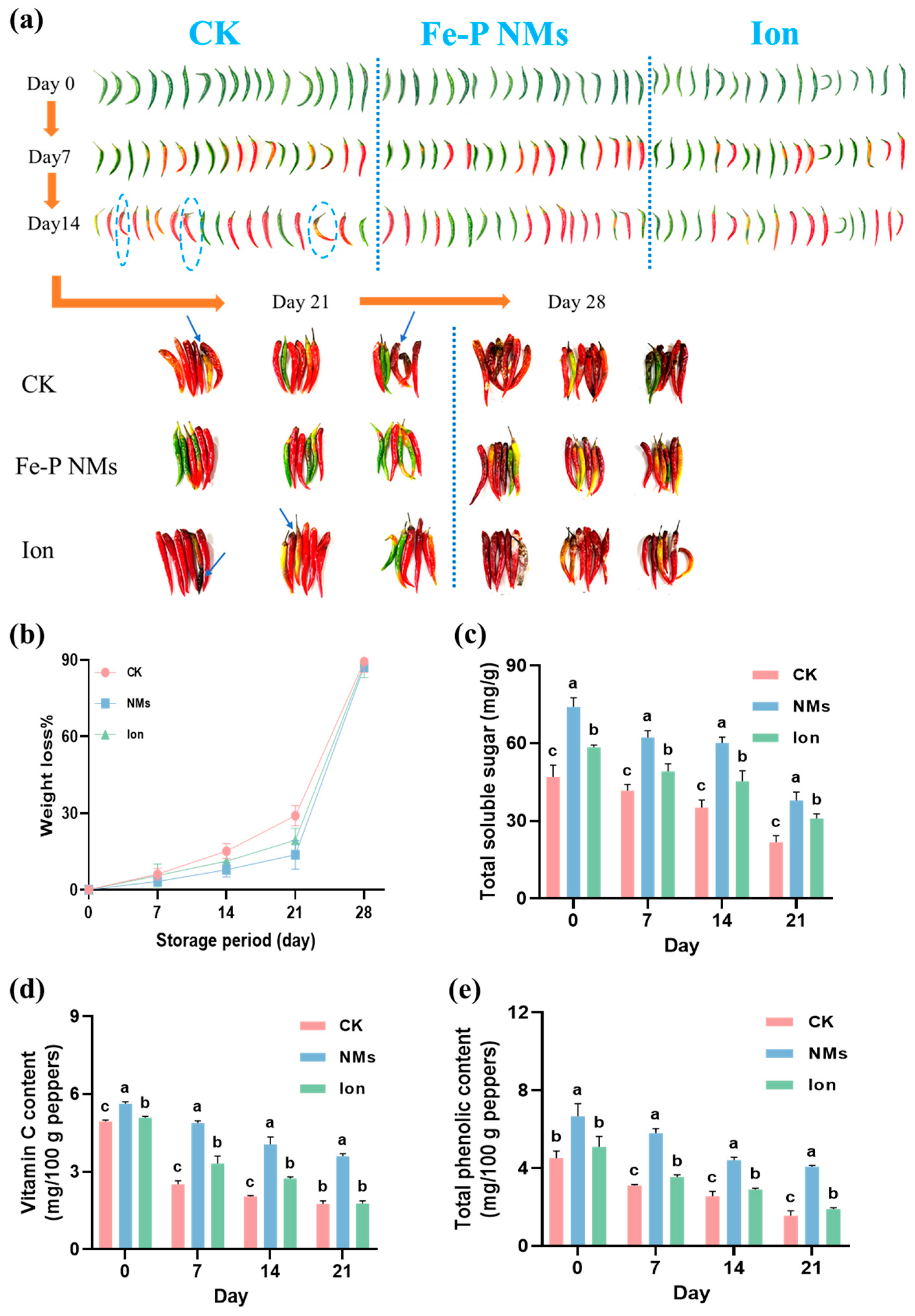 Nanomaterials 15 00497 g002