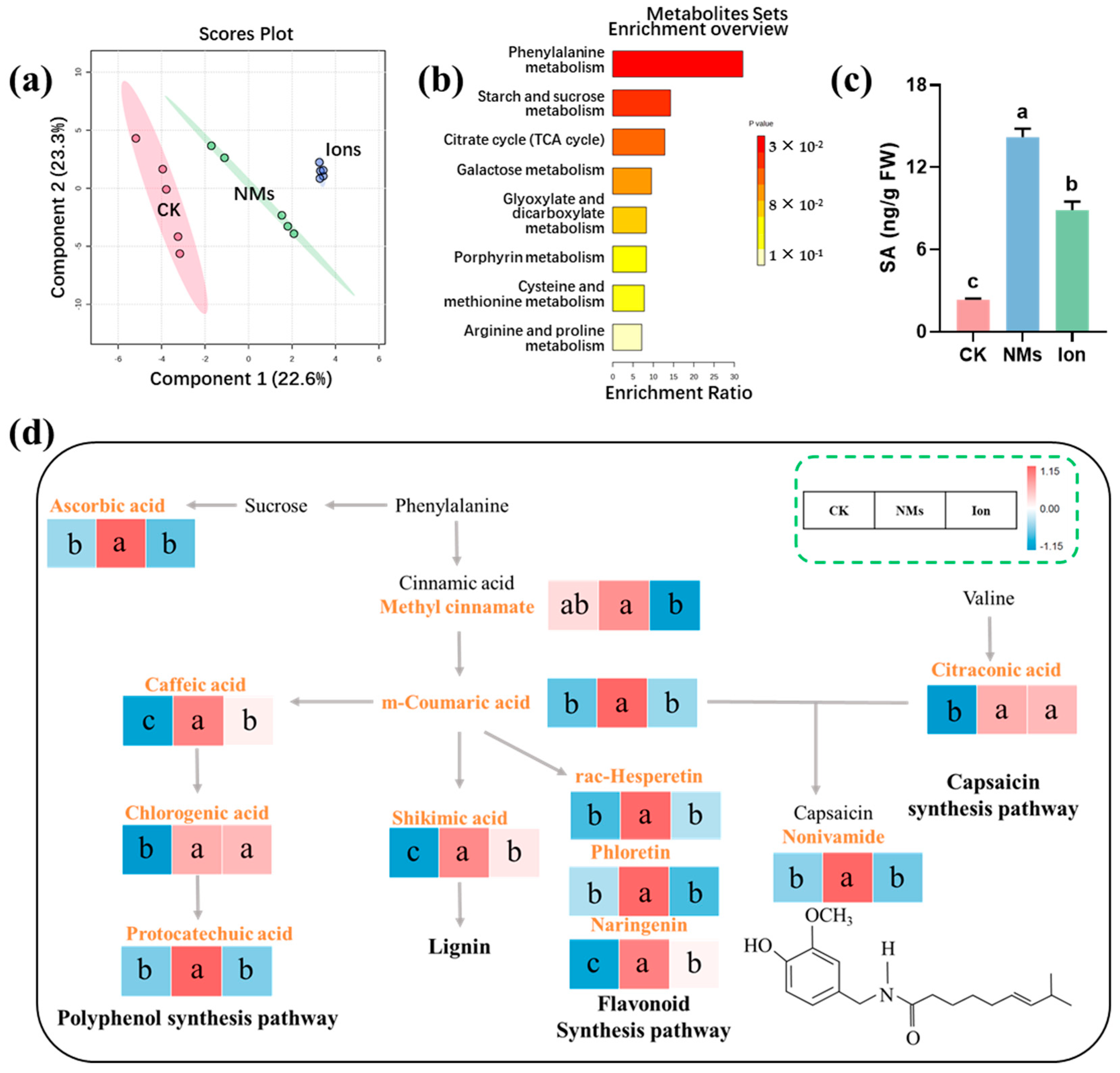 Nanomaterials 15 00497 g003