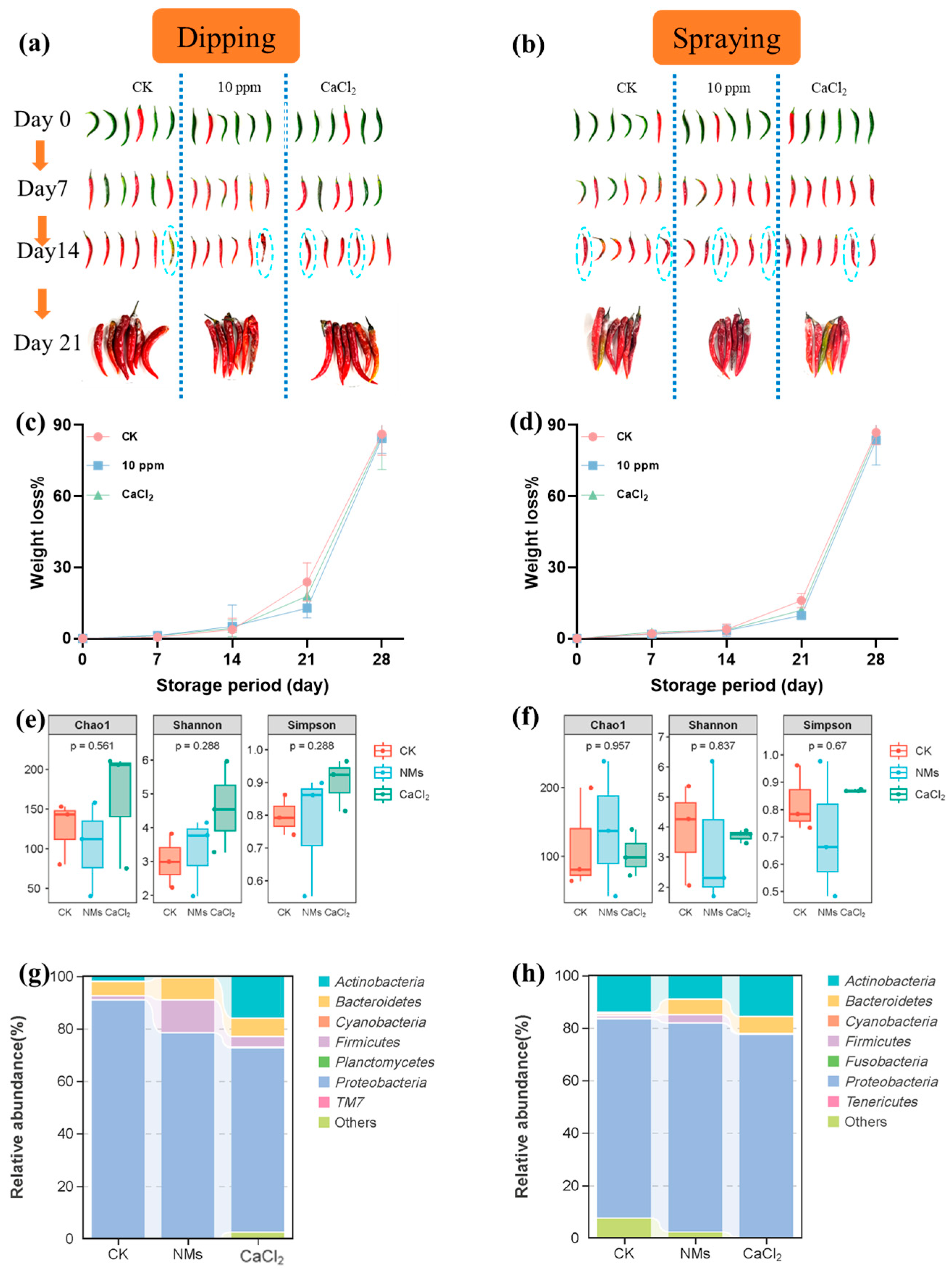 Nanomaterials 15 00497 g006