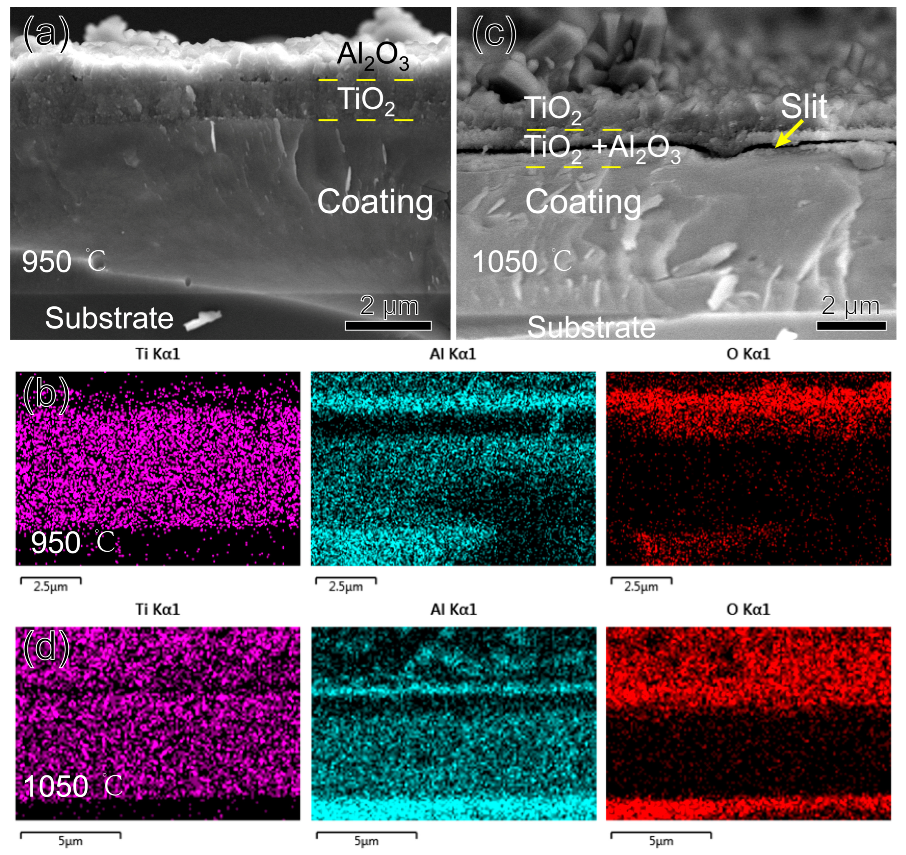 Nanomaterials 15 00503 g009