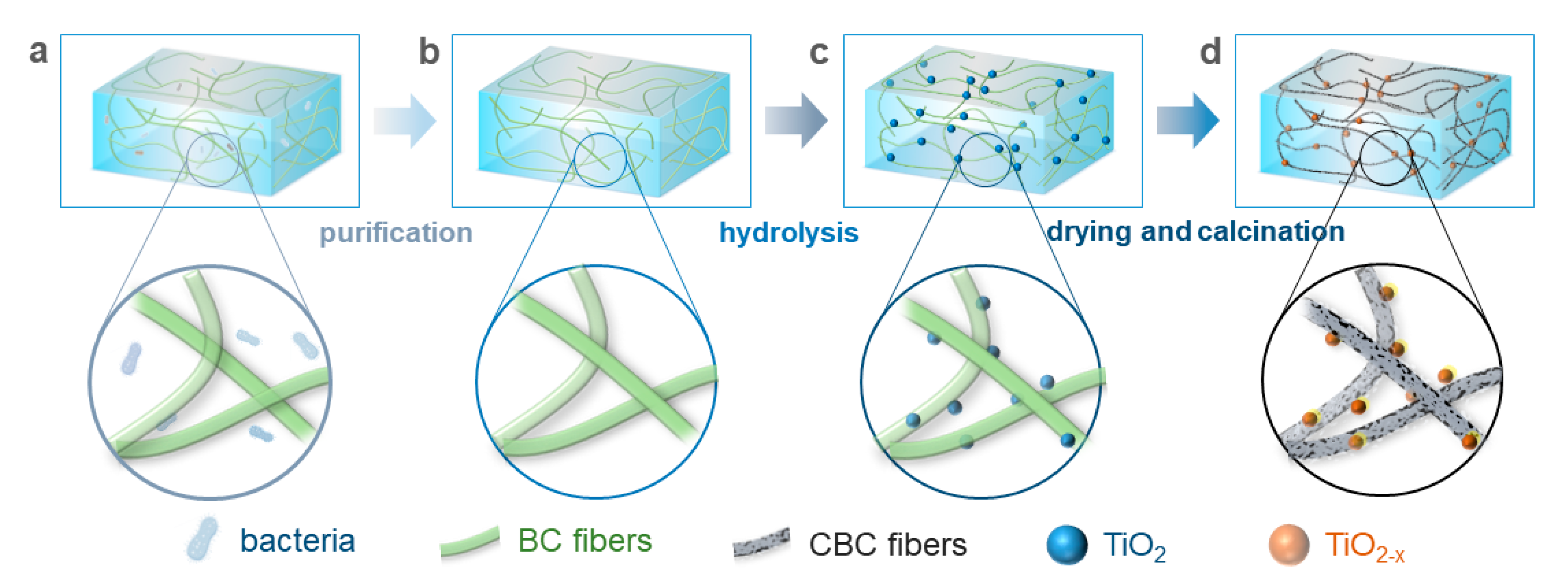 Nanomaterials 15 00514 g001