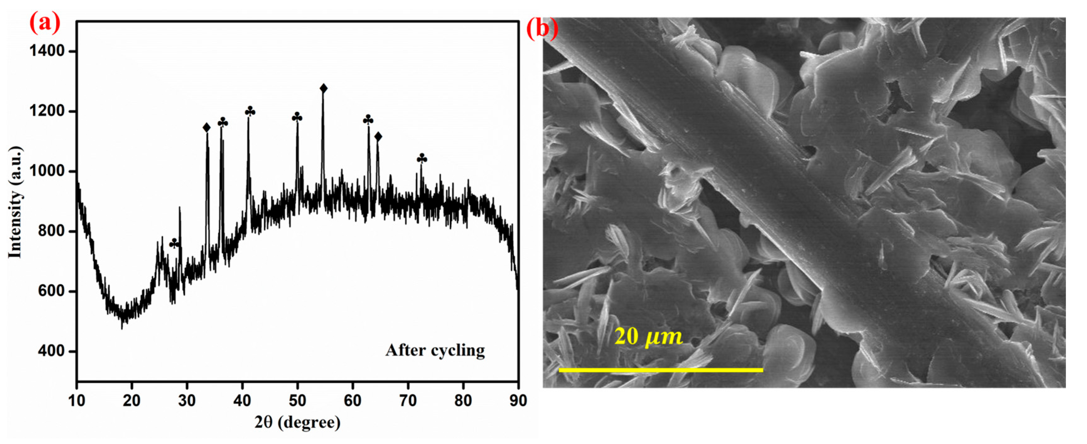 Nanomaterials 15 00535 g010