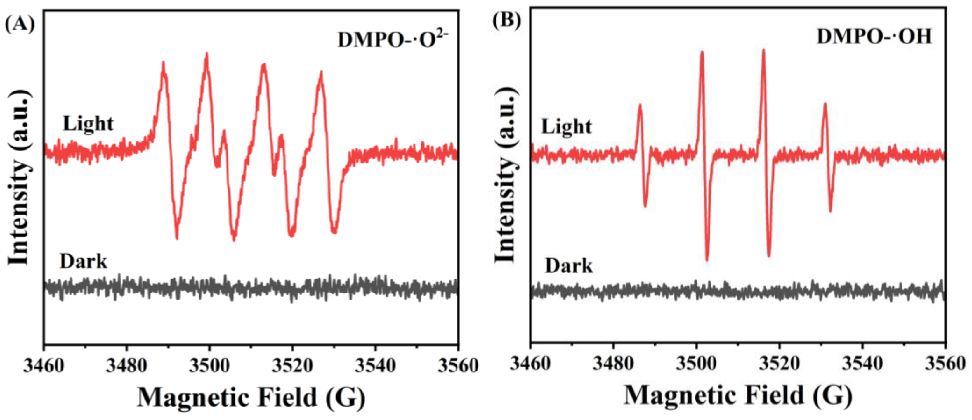 Nanomaterials 15 00537 g012