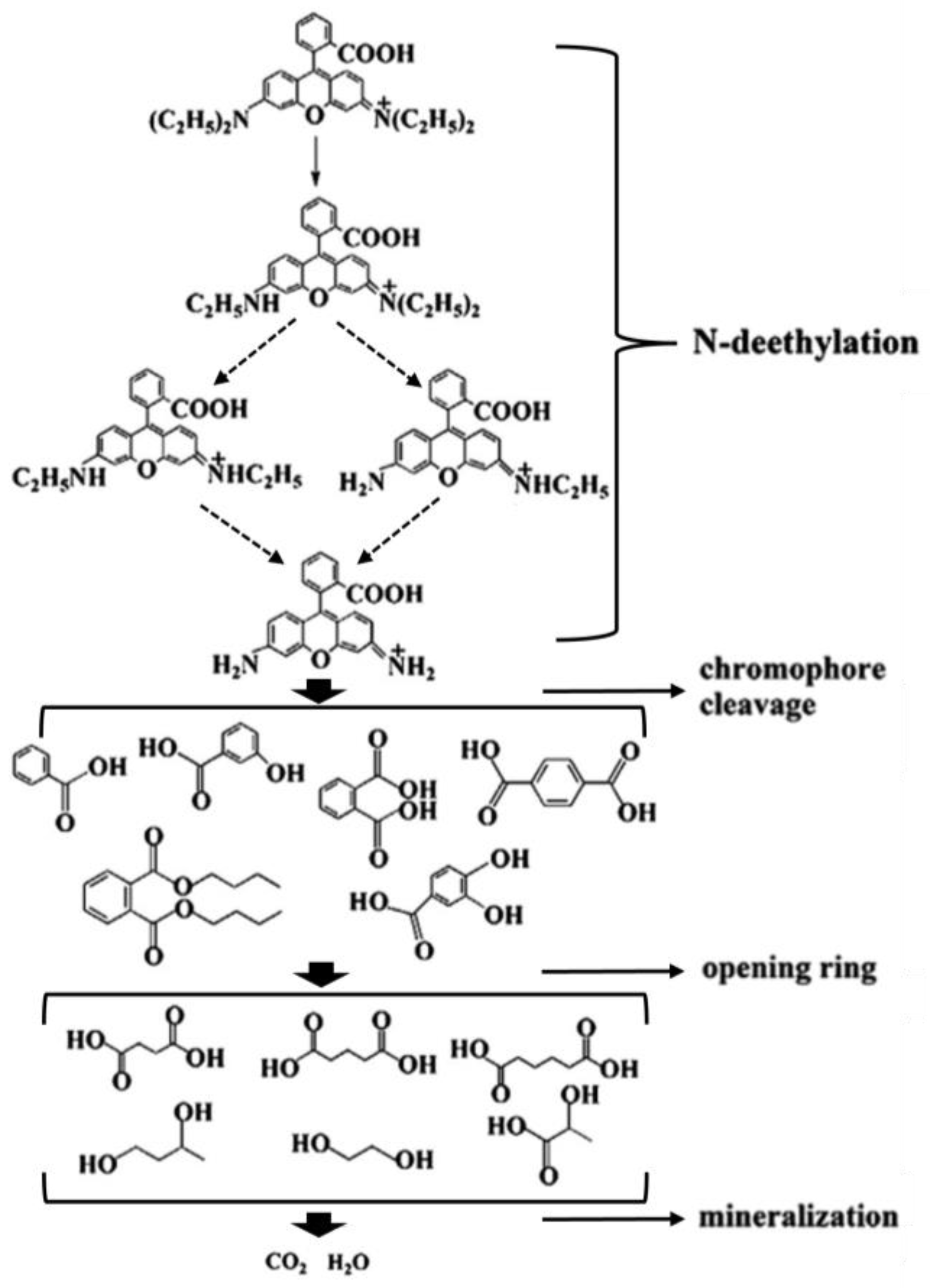 Nanomaterials 15 00537 g014