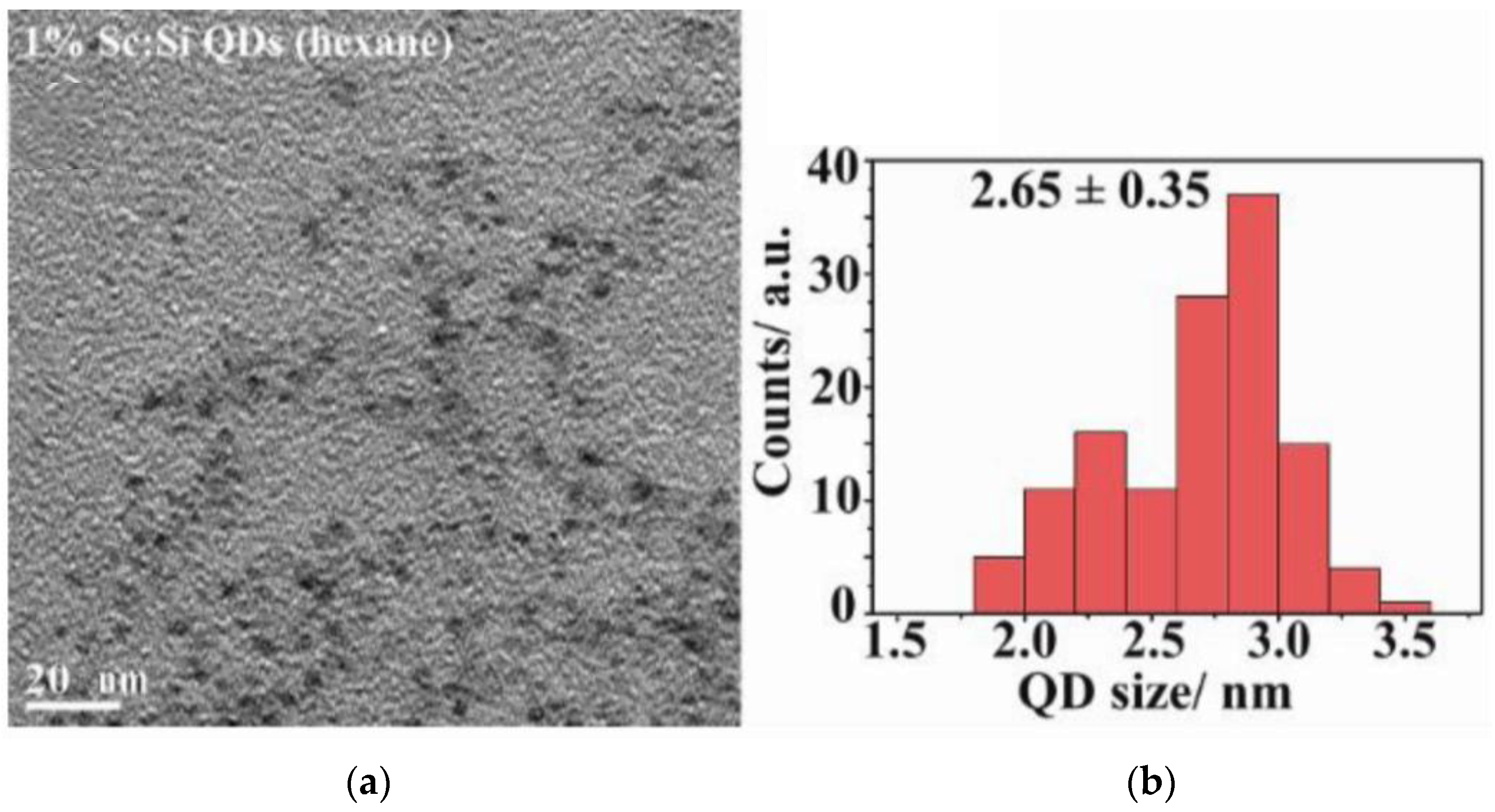 Nanomaterials 15 00552 g001 Nanomaterials 15 00552 g001