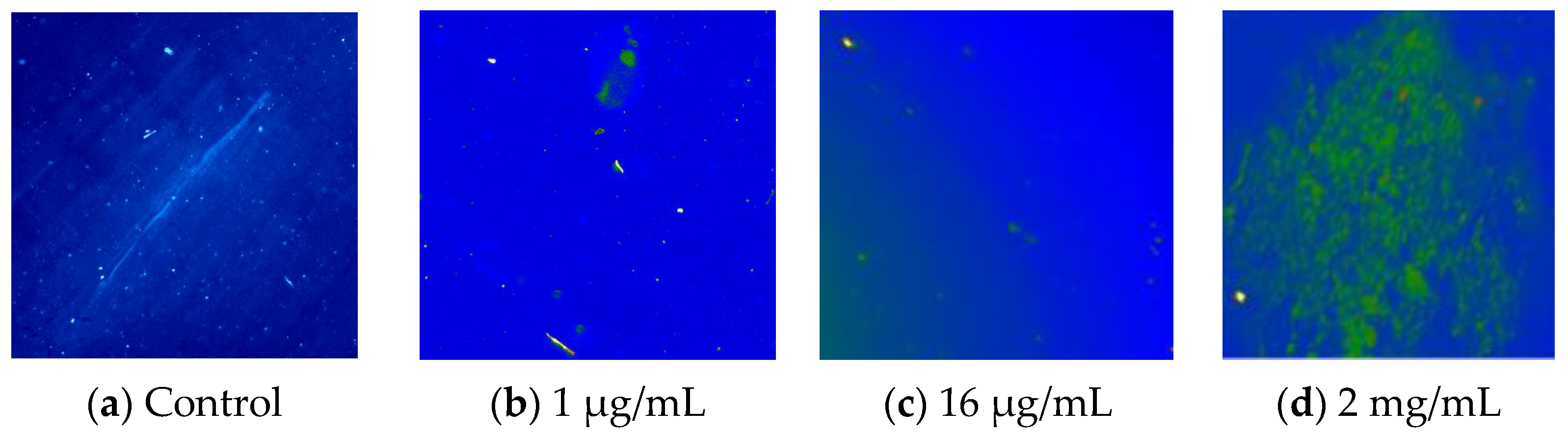 Nanomaterials 15 00552 g004 Nanomaterials 15 00552 g004