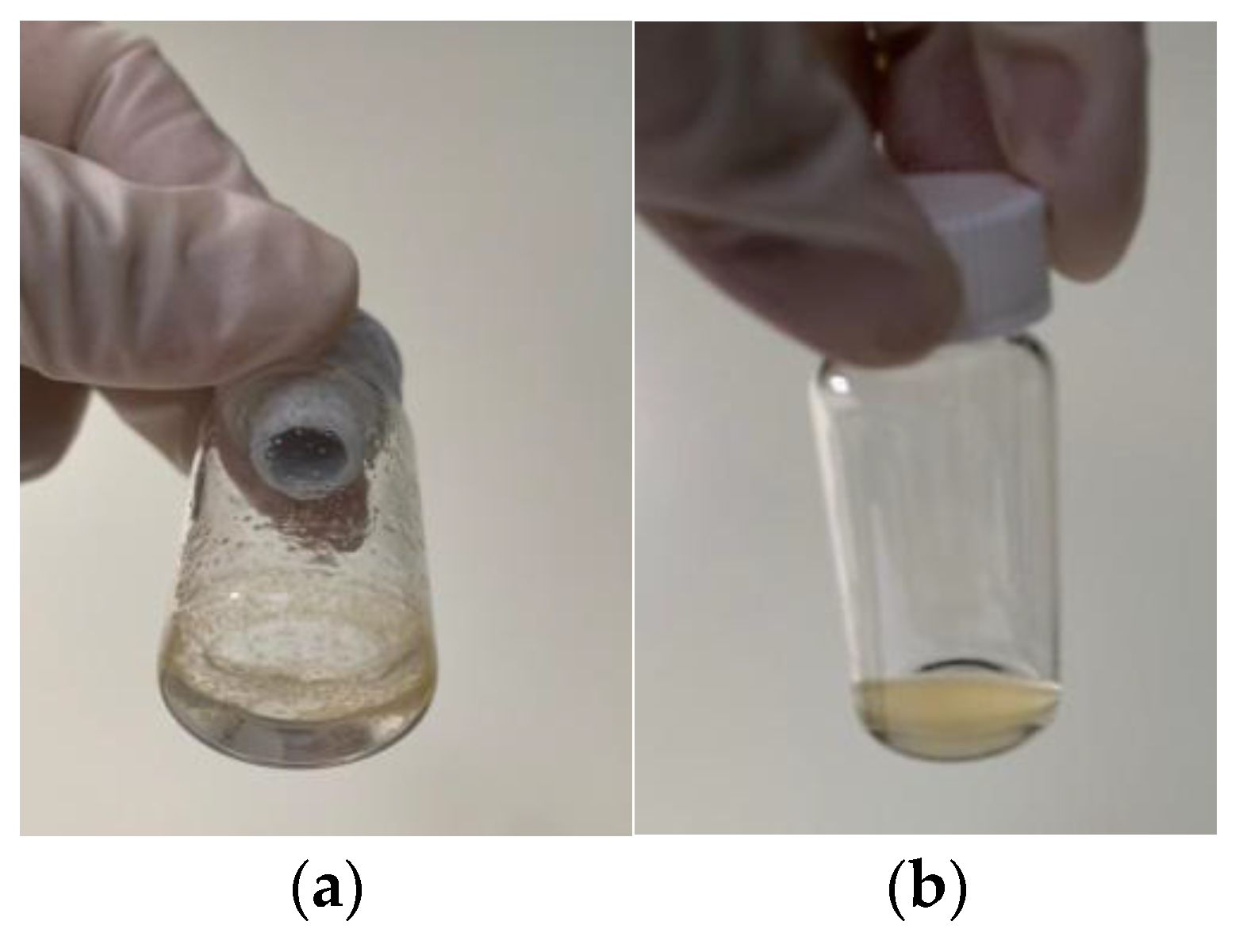 Nanomaterials 15 00552 g007 Nanomaterials 15 00552 g007