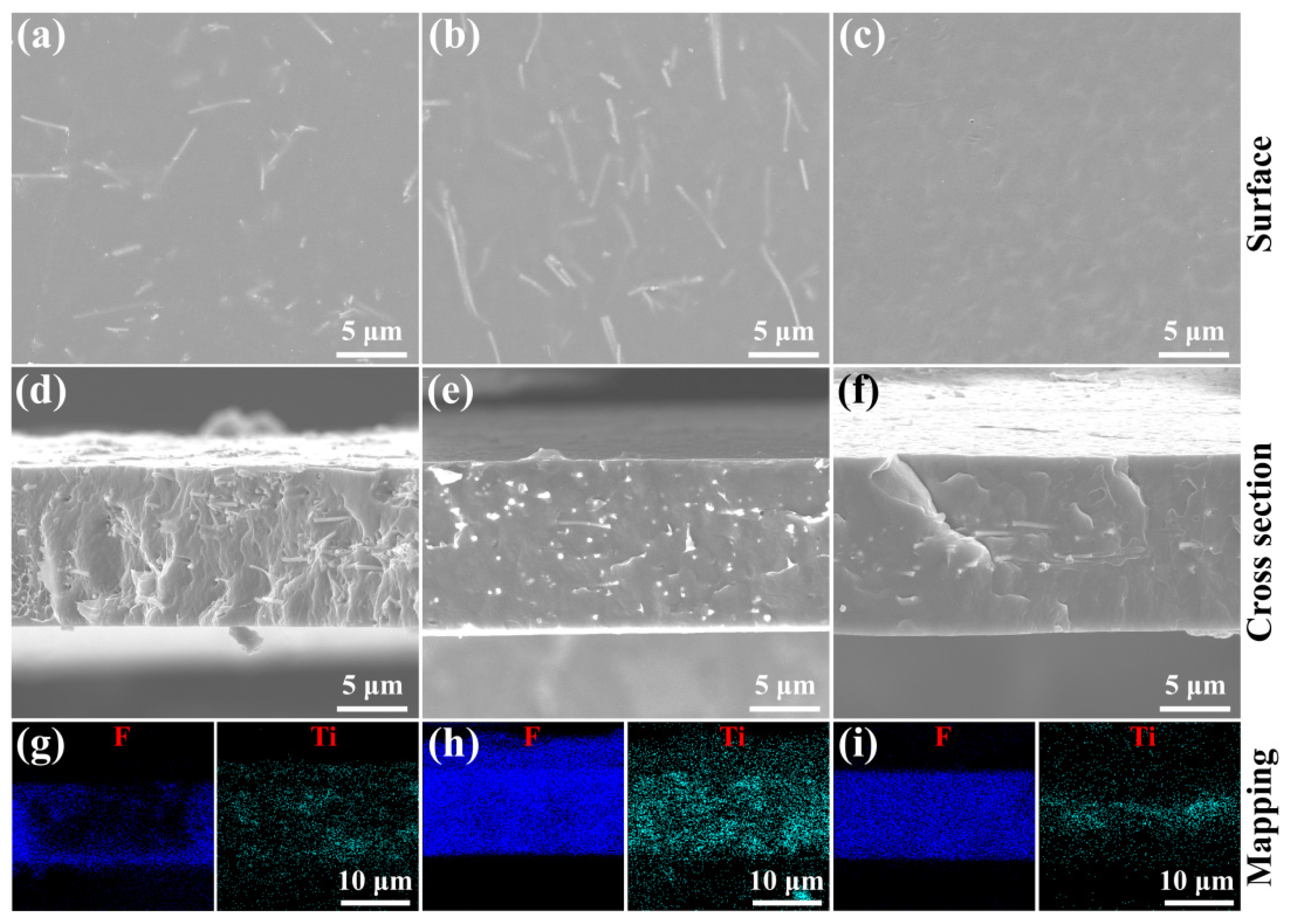 Nanomaterials 15 00569 g003 Nanomaterials 15 00569 g003