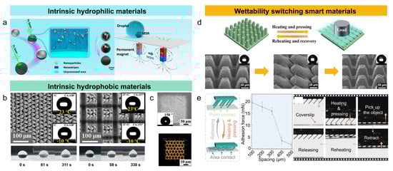 Nanomaterials 15 00573 g003