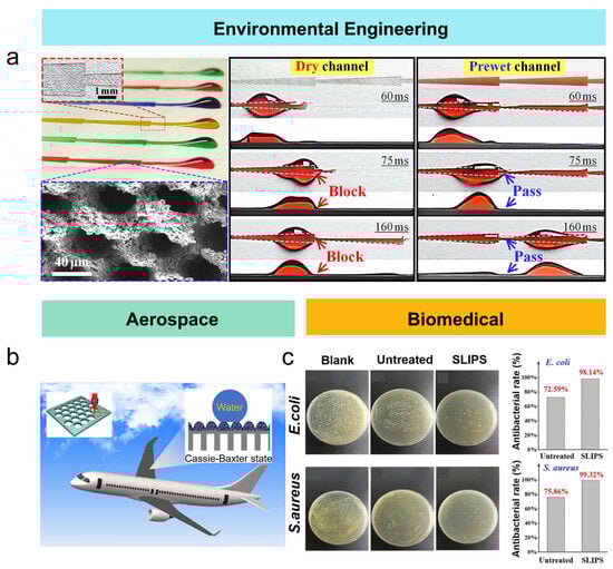 Nanomaterials 15 00573 g008