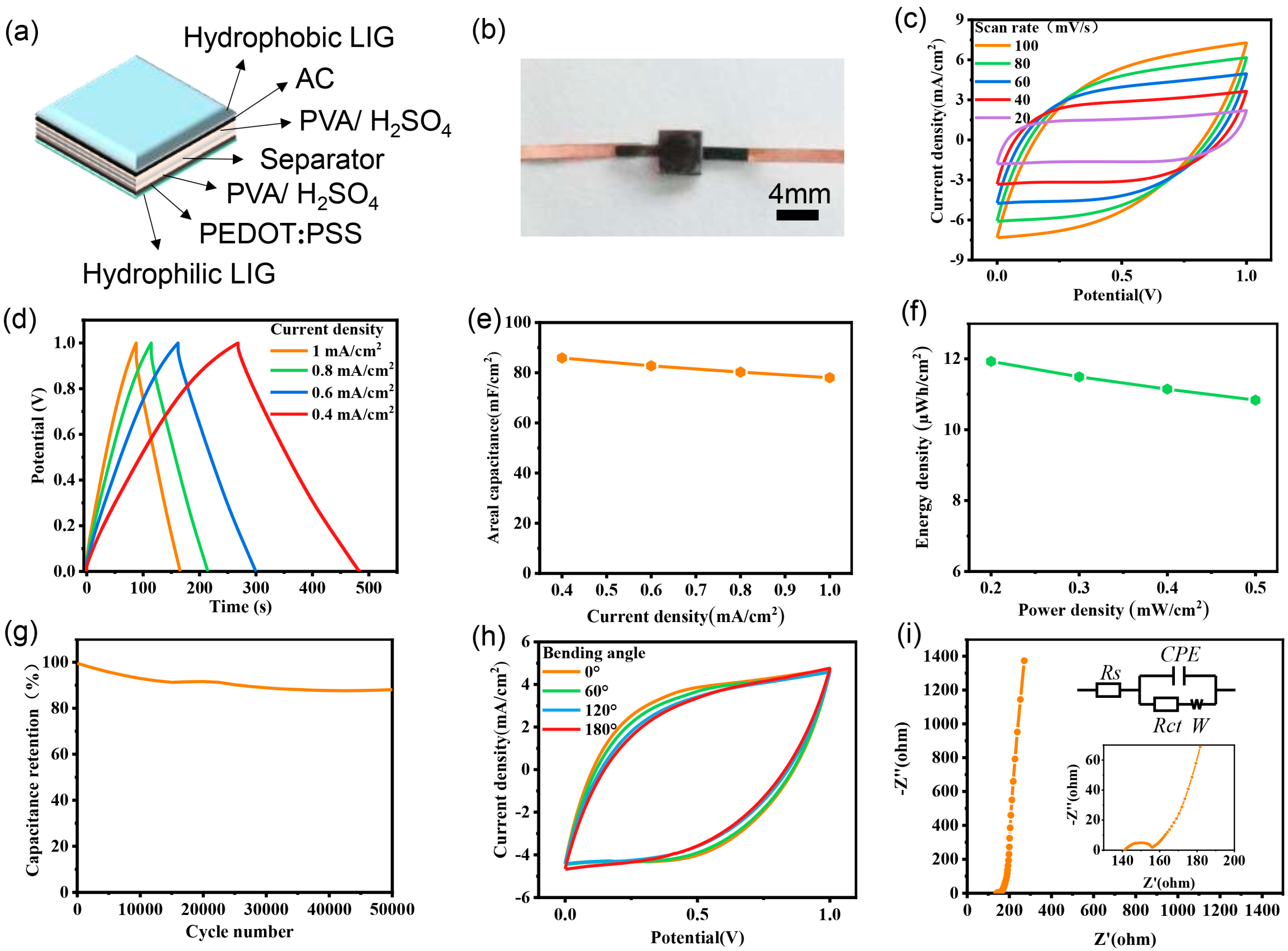 Nanomaterials 15 00584 g004