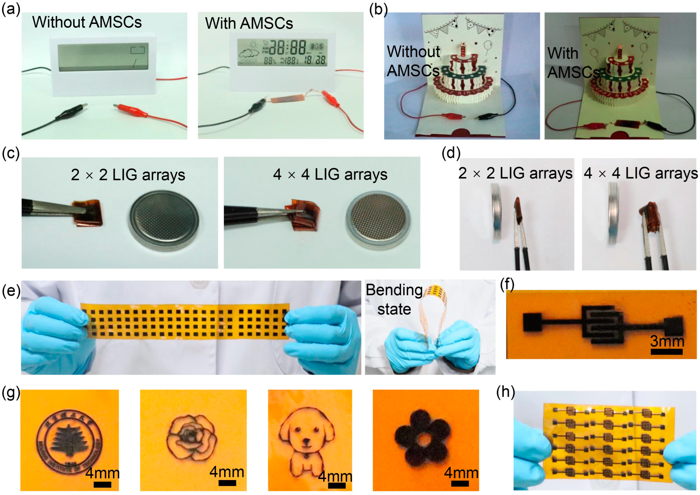 Nanomaterials 15 00584 g007
