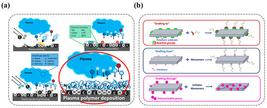 Nanomaterials 15 00591 g003
