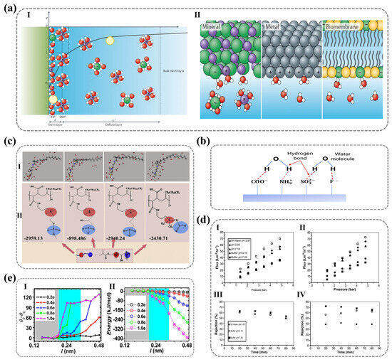 Nanomaterials 15 00591 g006