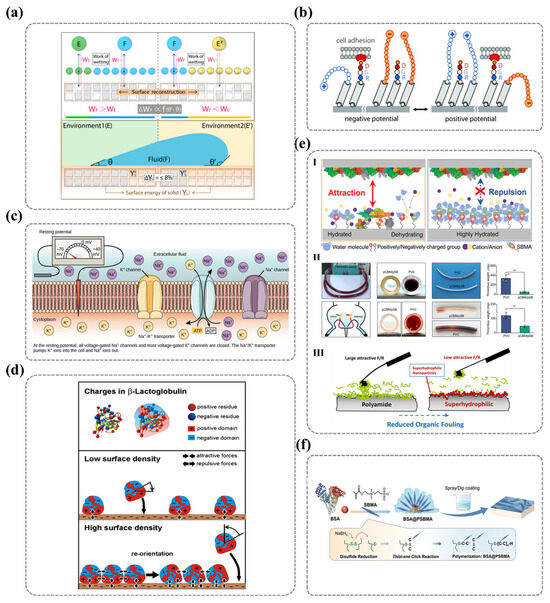 Nanomaterials 15 00591 g014