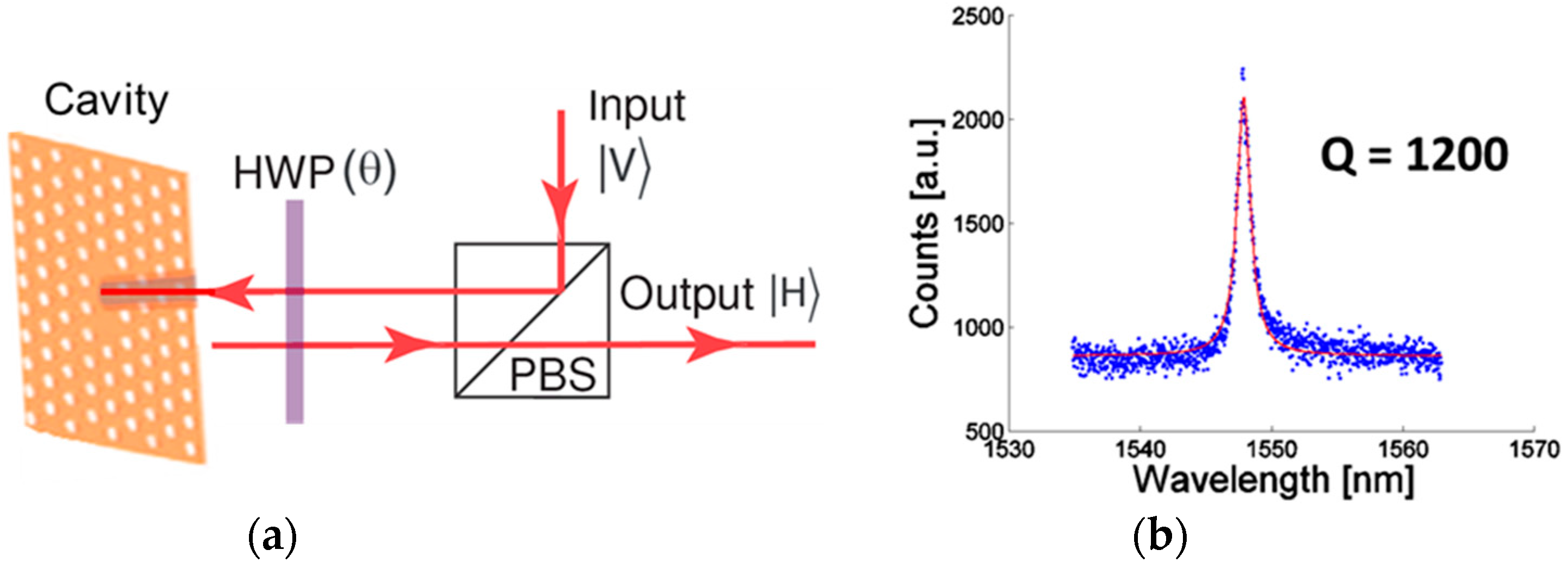 Nanomaterials 15 00619 g007