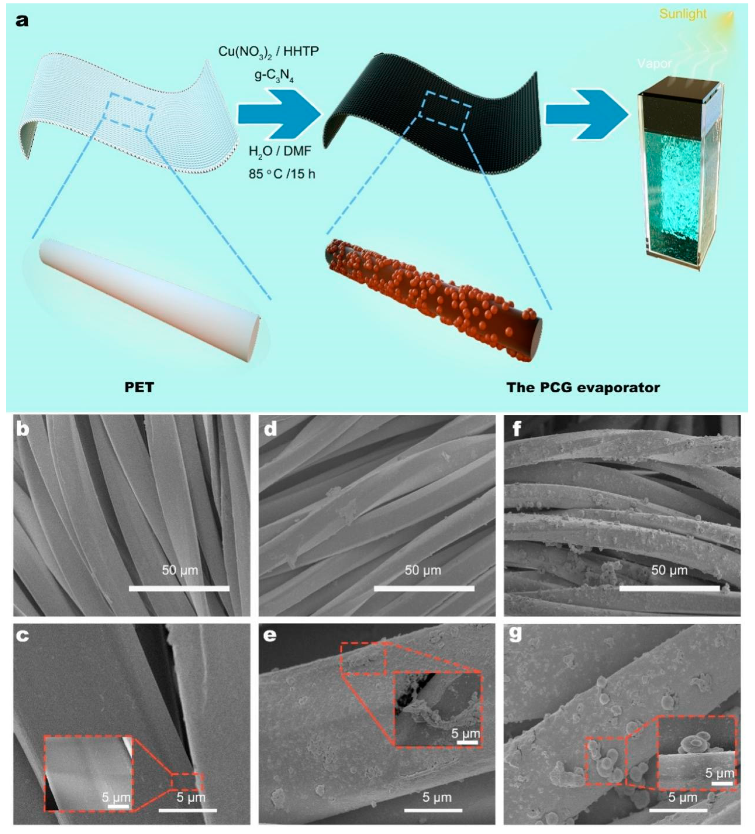 Nanomaterials 15 00632 g001