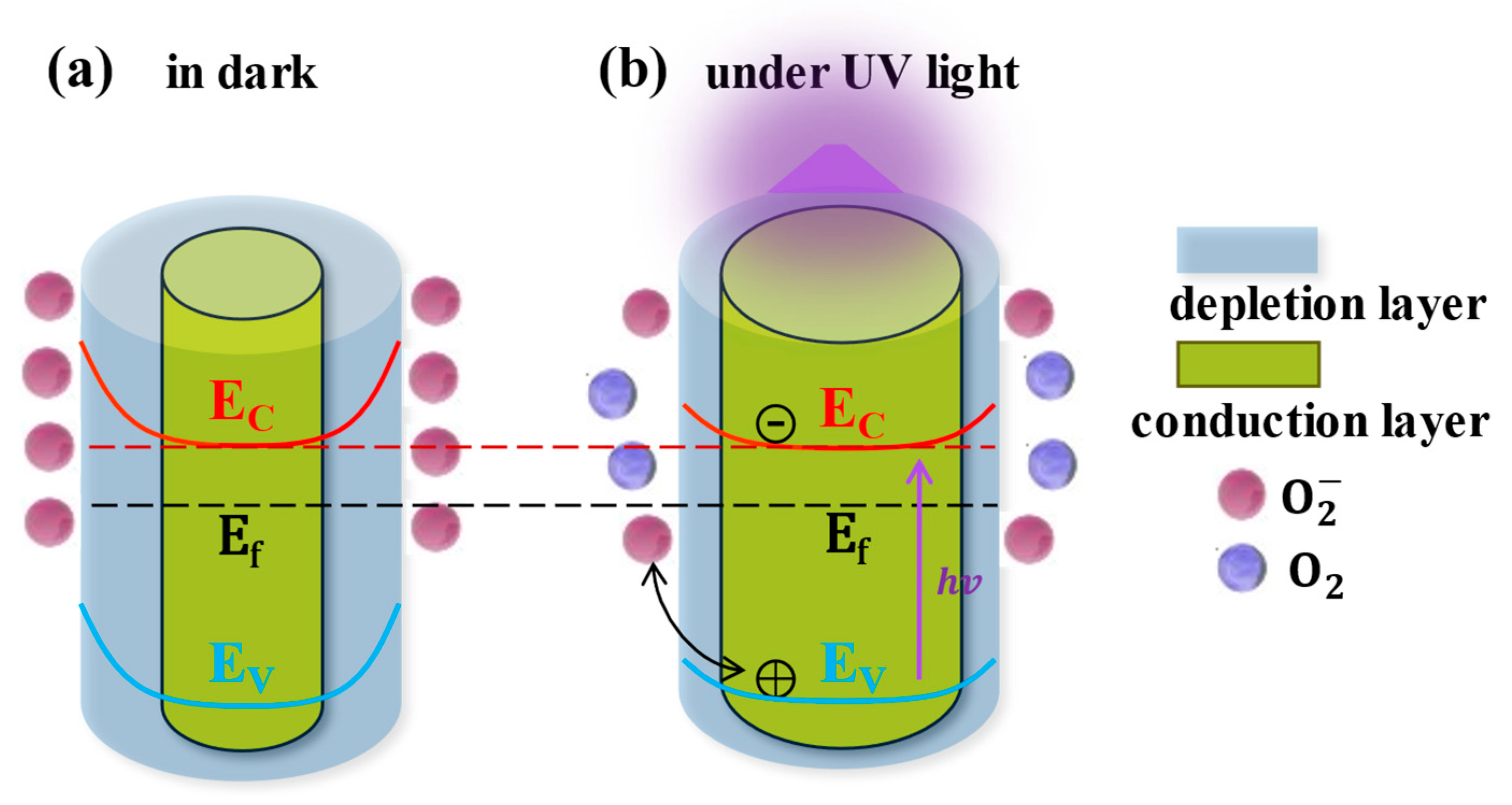 Nanomaterials 15 00644 g001