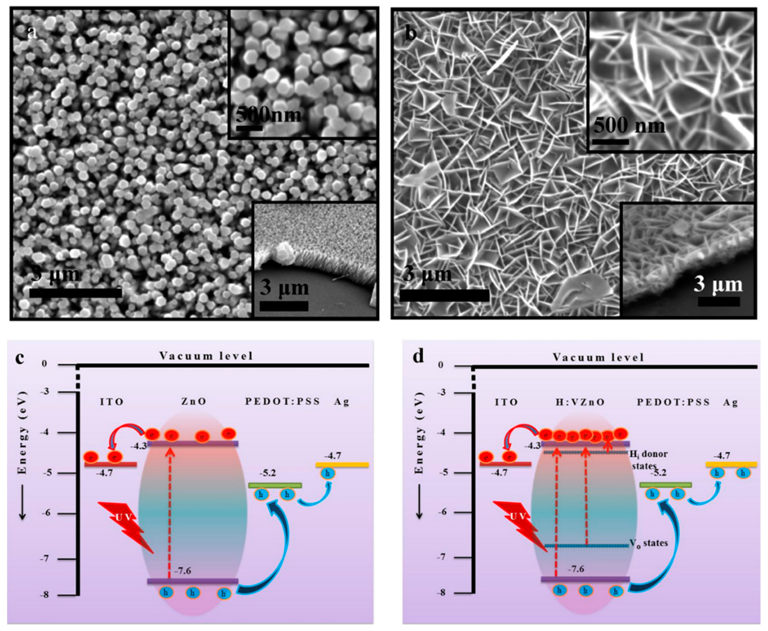 Nanomaterials 15 00644 g007
