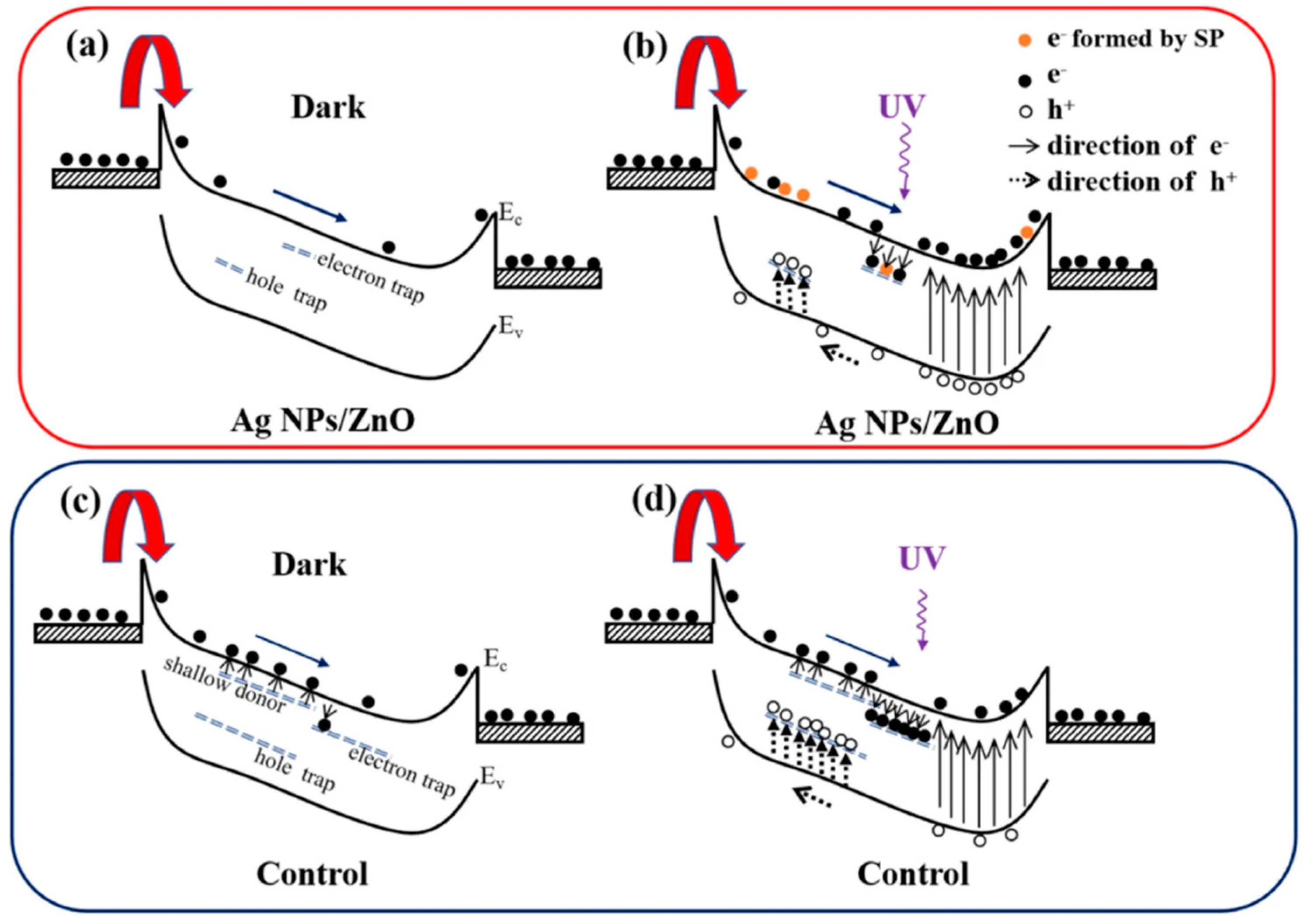 Nanomaterials 15 00644 g008