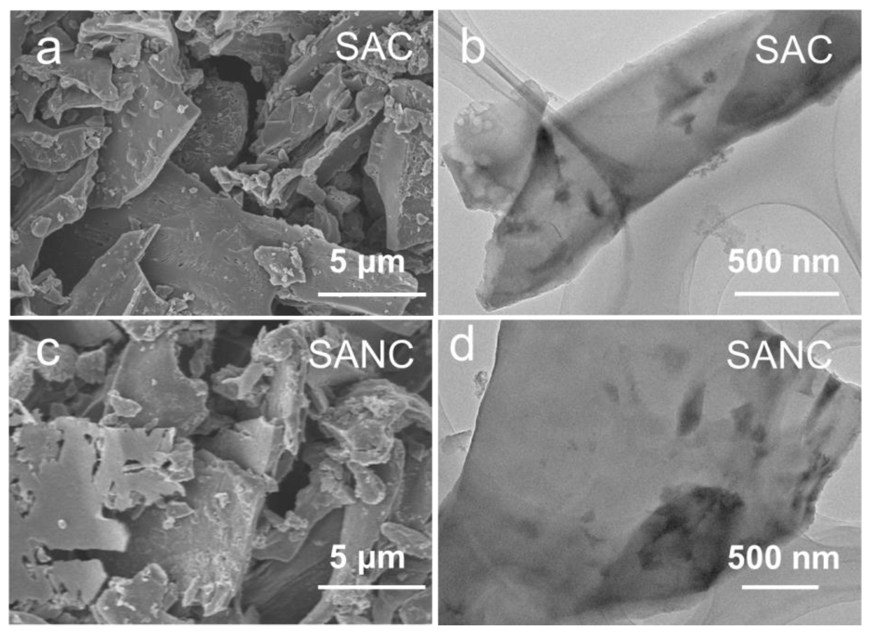 Nanomaterials 15 00658 g003
