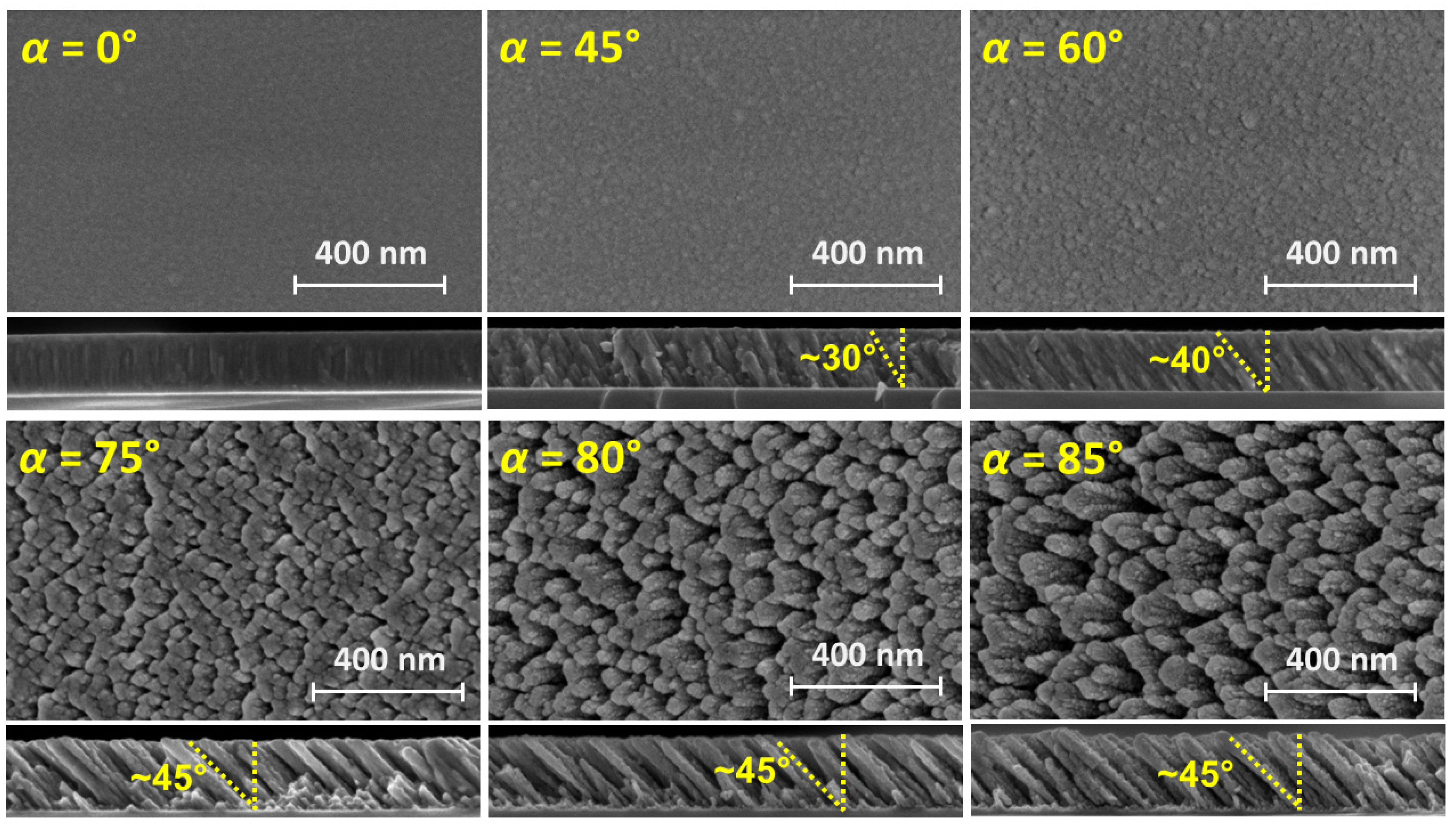 Nanomaterials 15 00662 g001